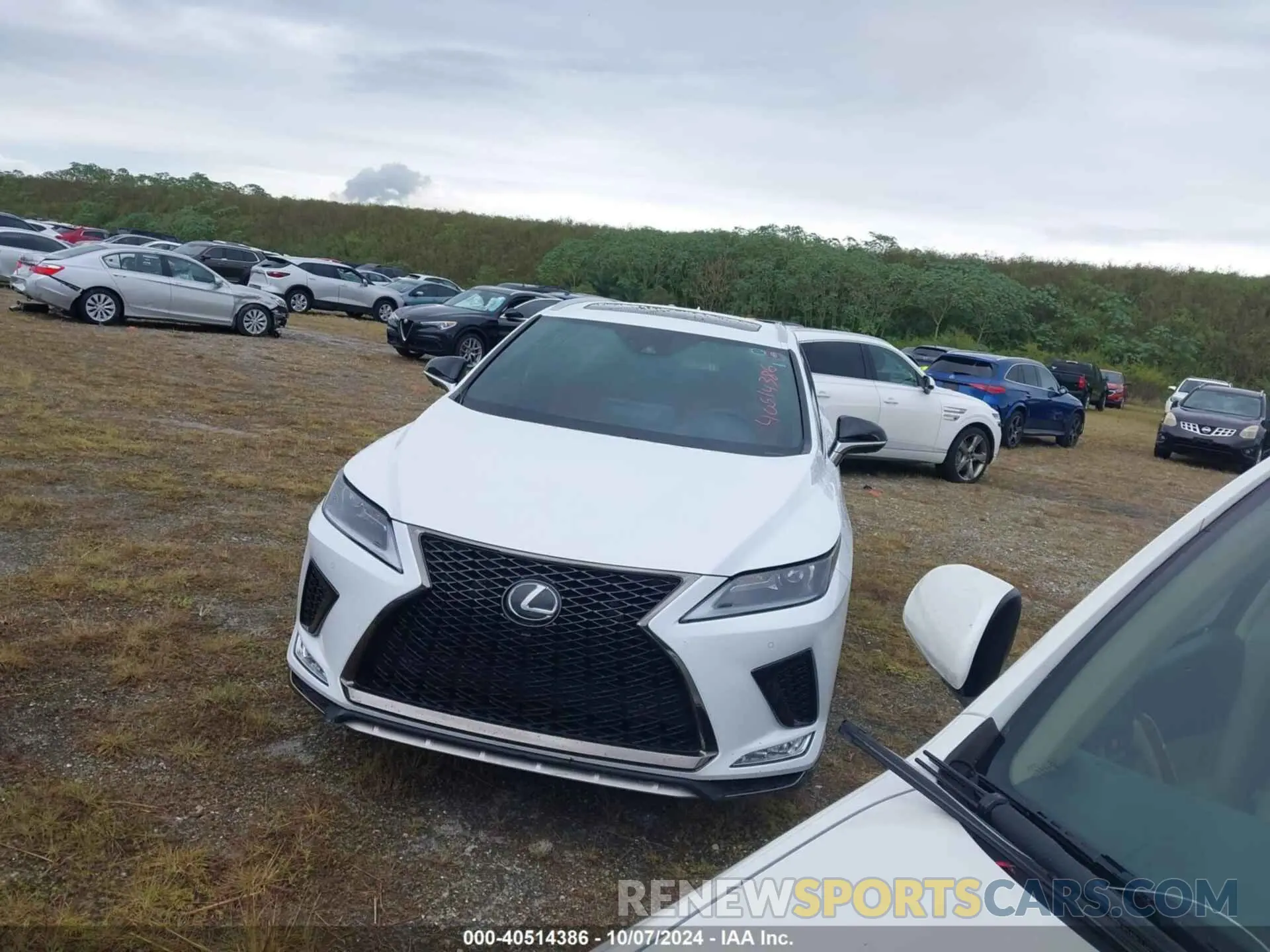 2 Photograph of a damaged car 2T2YZMDA4NC317291 LEXUS RX 2022