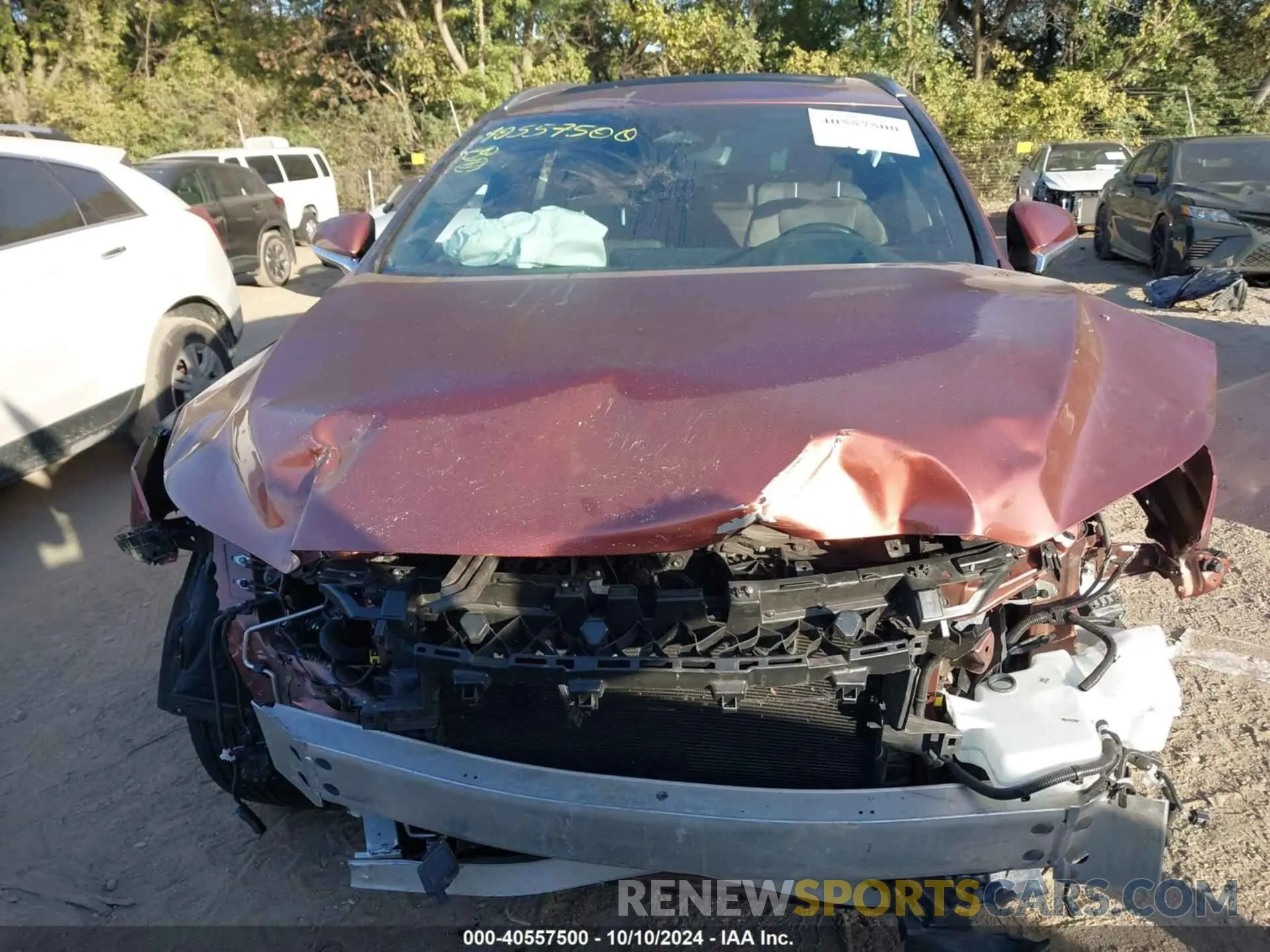 13 Photograph of a damaged car 2T2BAMCA9PC015450 LEXUS RX 2023