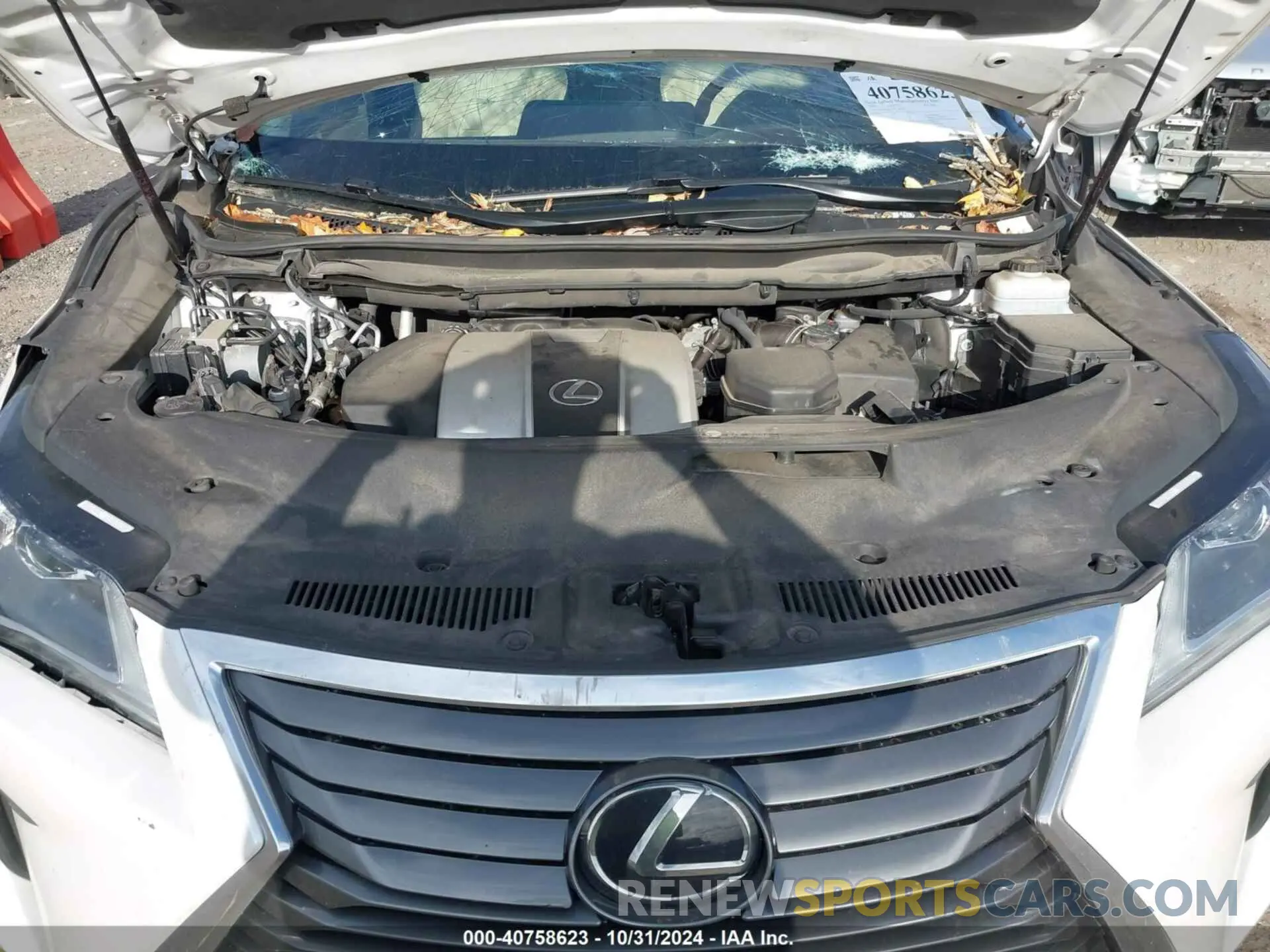 10 Photograph of a damaged car 2T2BZMCA1KC202411 LEXUS RX 350 2019