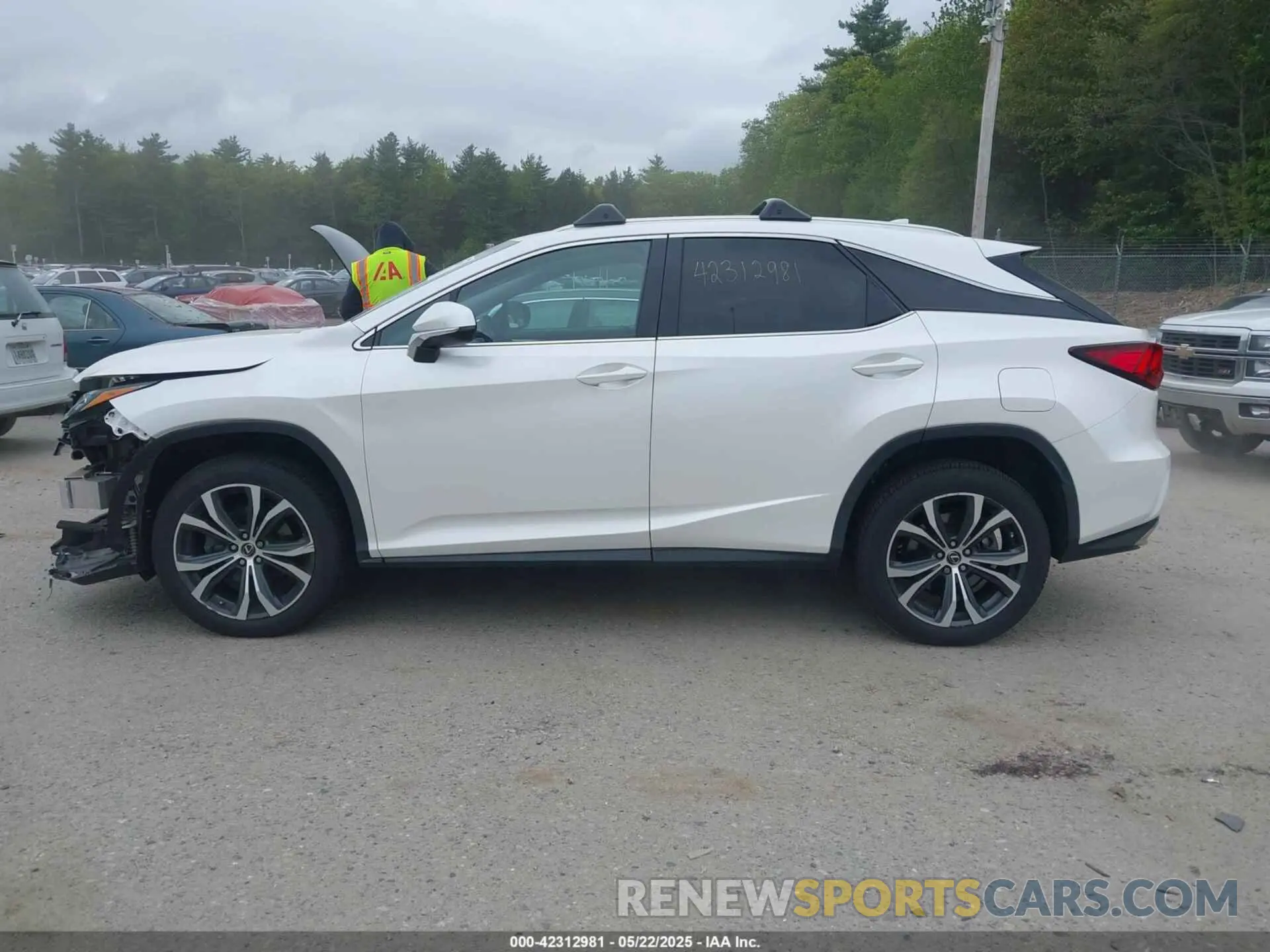 14 Photograph of a damaged car 2T2BZMCA7KC169897 LEXUS RX 350 2019