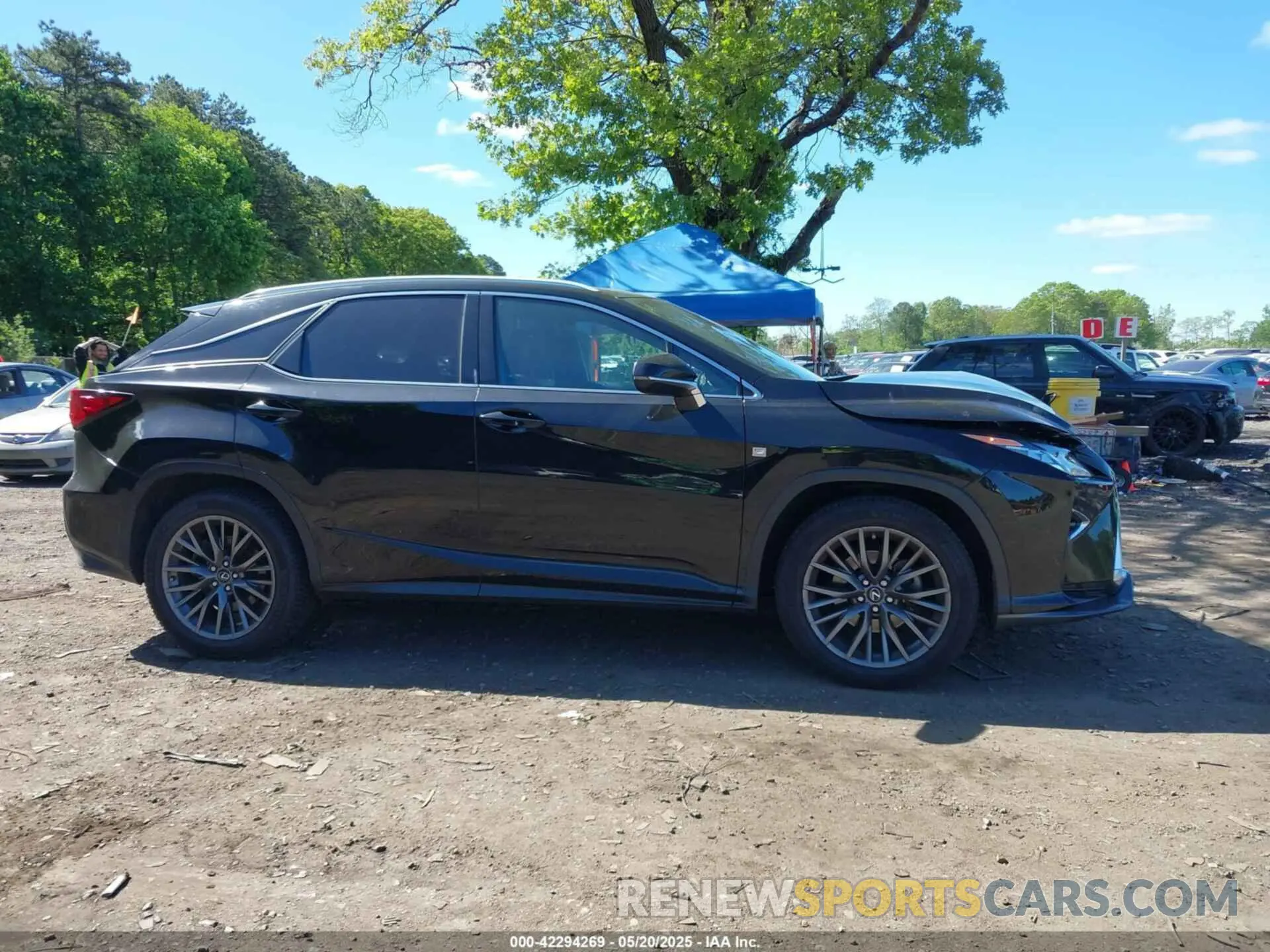 13 Photograph of a damaged car 2T2BZMCA8KC211025 LEXUS RX 350 2019