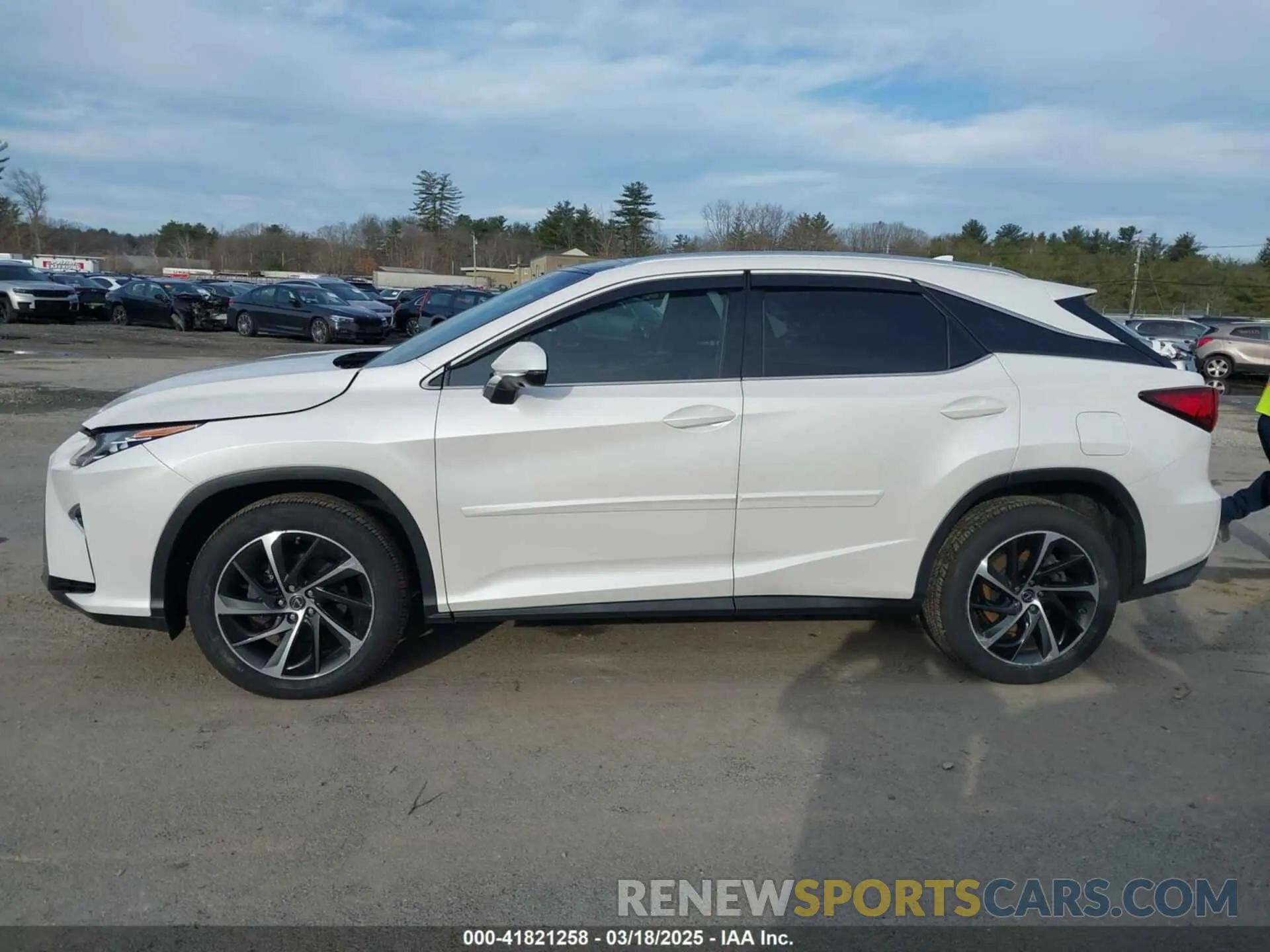 15 Photograph of a damaged car 2T2BZMCAXKC201239 LEXUS RX 350 2019