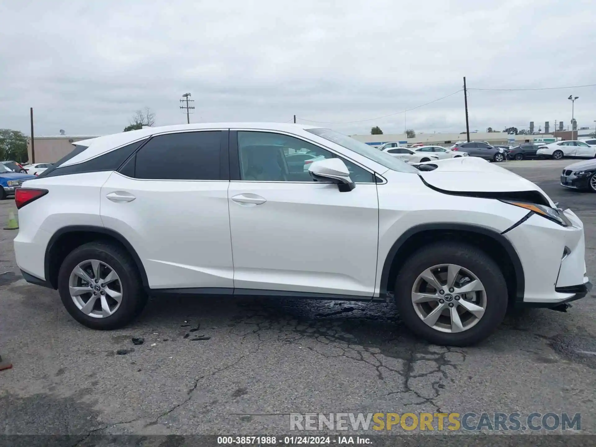 13 Photograph of a damaged car 2T2ZZMCA7KC125509 LEXUS RX 350 2019