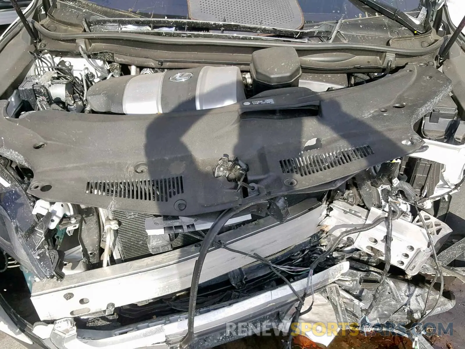 7 Photograph of a damaged car 2T2ZZMCAXKC119655 LEXUS RX 350 2019