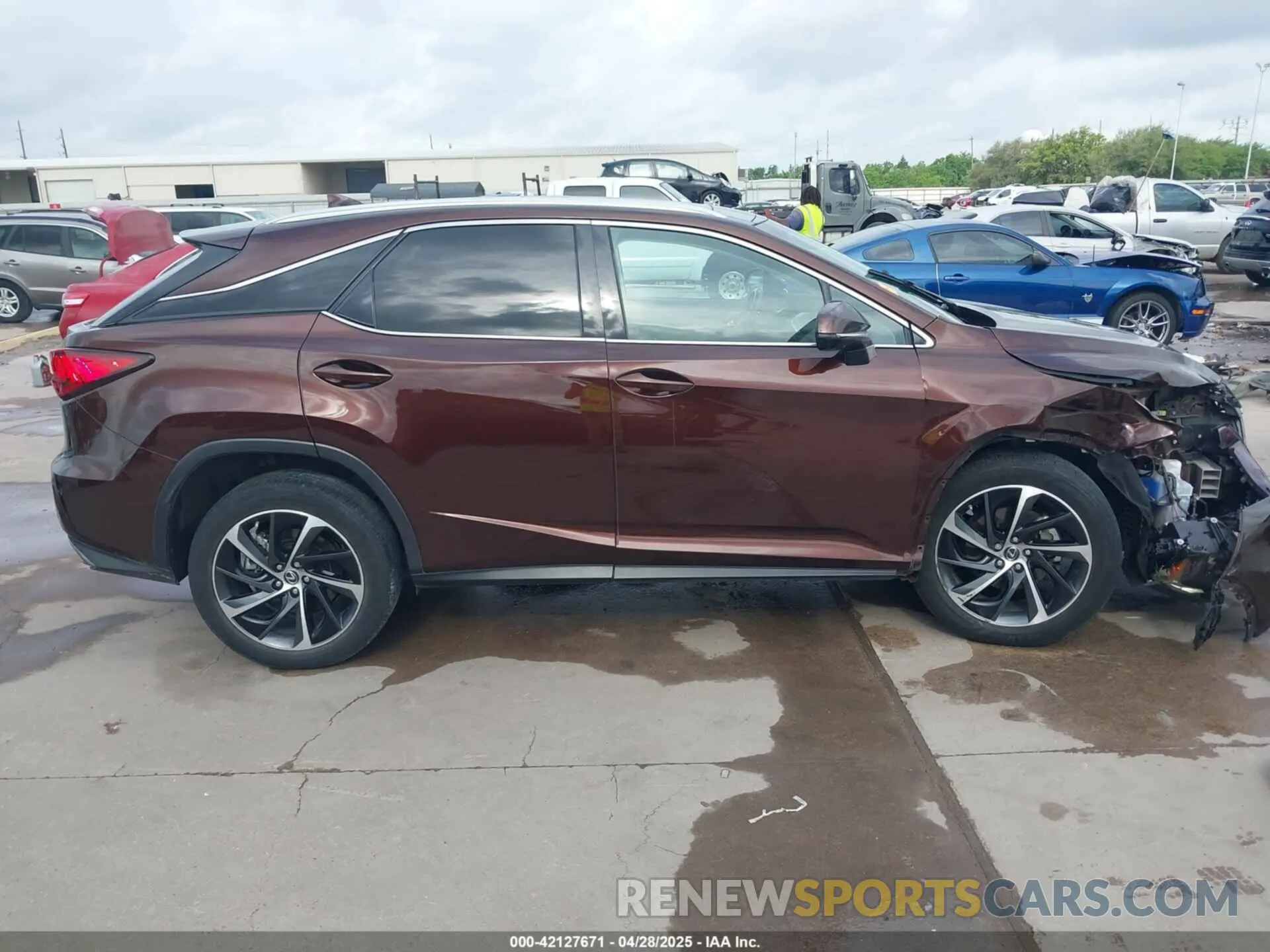 14 Photograph of a damaged car 2T2ZZMCAXKC128405 LEXUS RX 350 2019