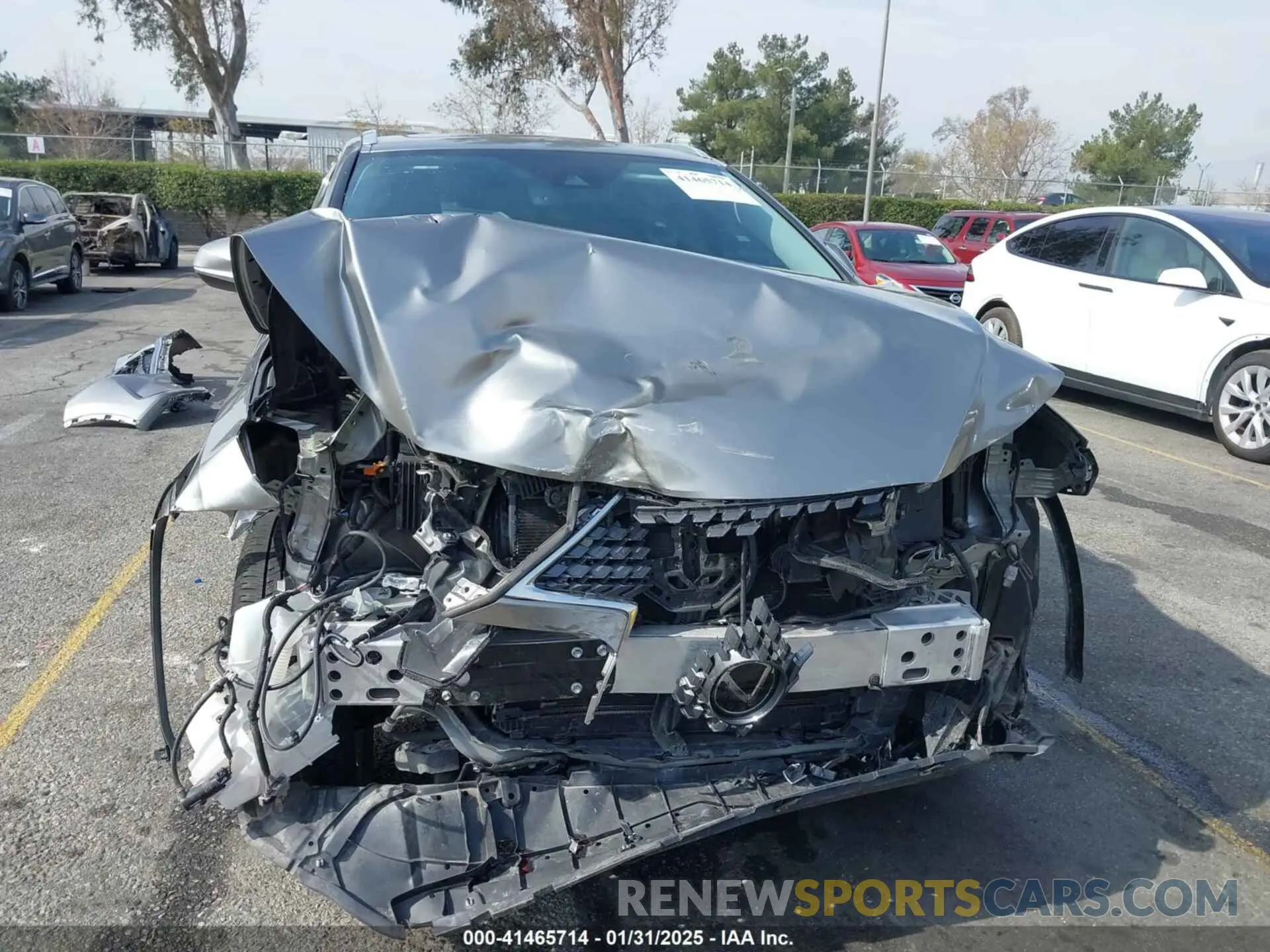 12 Photograph of a damaged car 2T2HZMDA6NC349806 LEXUS RX 350 2022