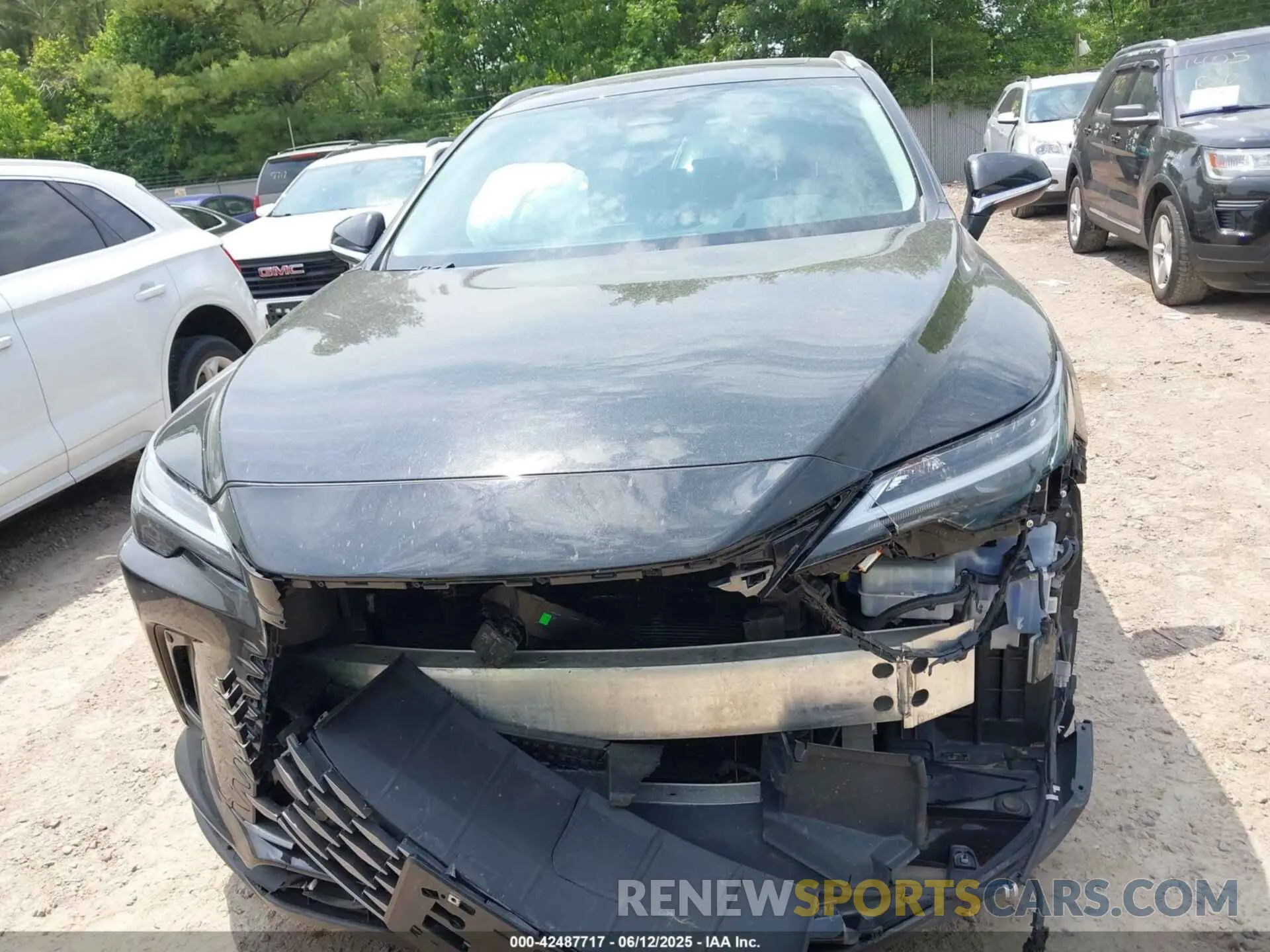 12 Photograph of a damaged car 2T2BAMCA6PC021707 LEXUS RX 350 2023