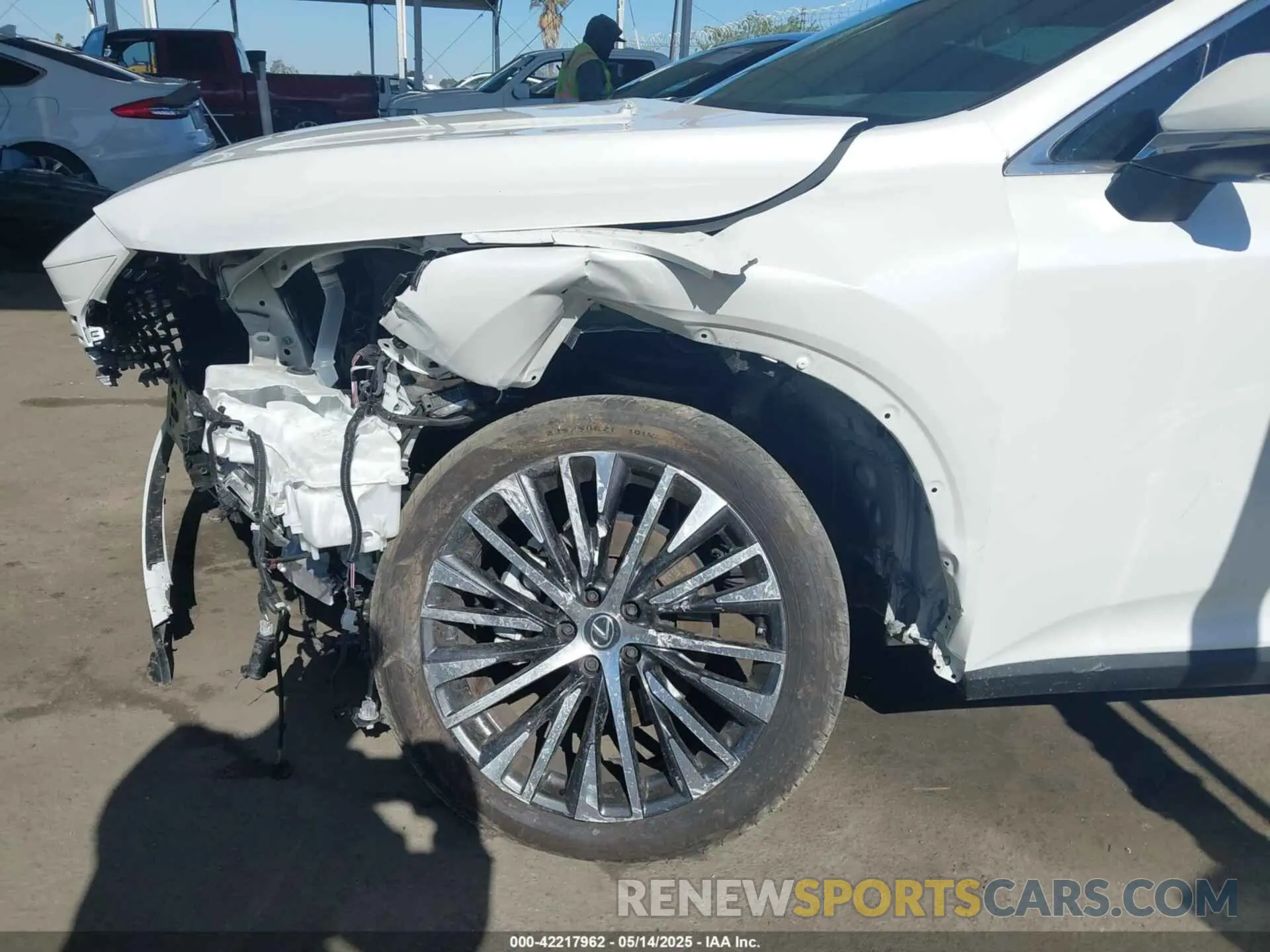 19 Photograph of a damaged car 2T2BAMBA0RC028513 LEXUS RX 350 2024