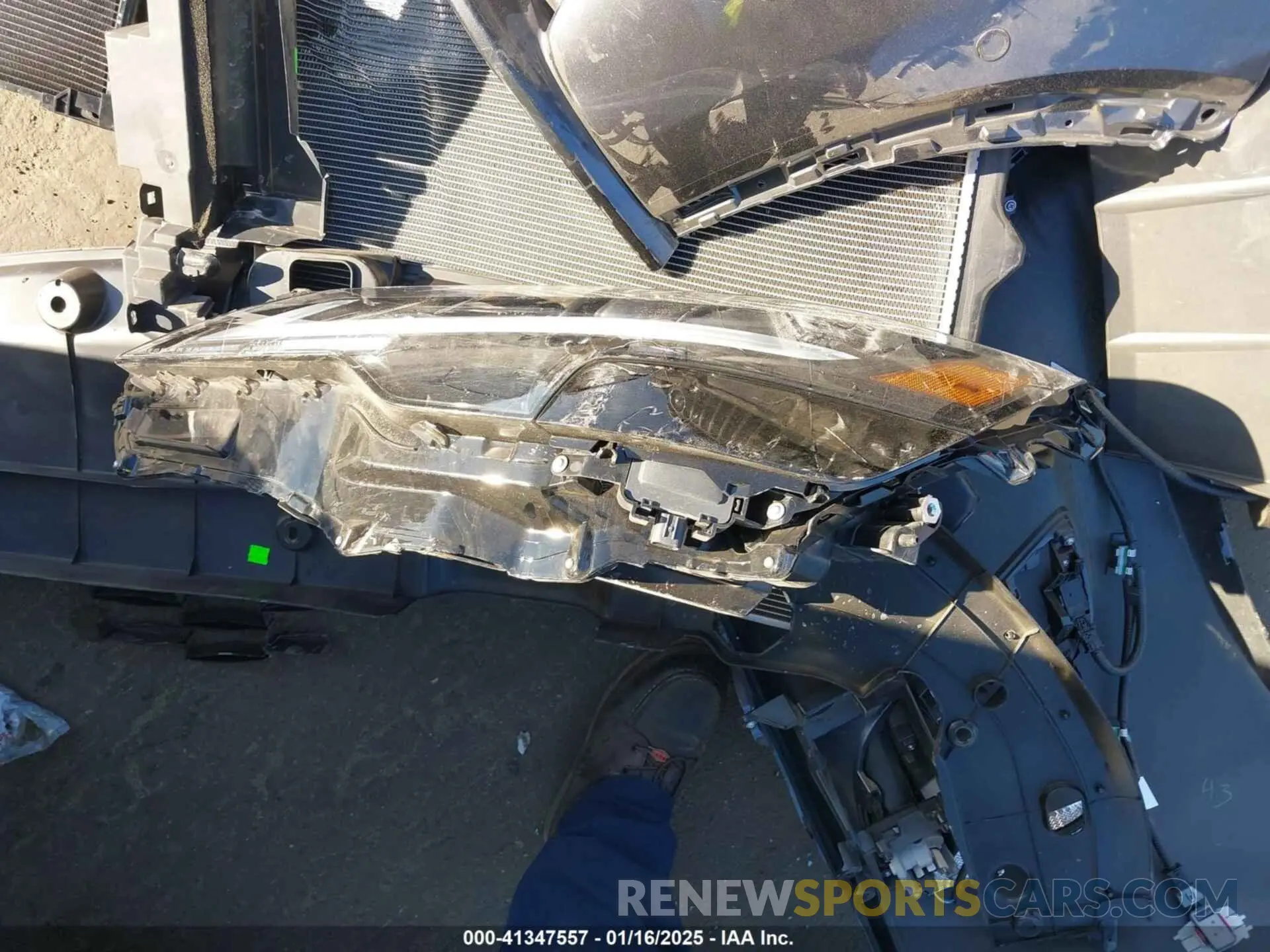 18 Photograph of a damaged car 2T2BAMBA3RC028022 LEXUS RX 350 2024