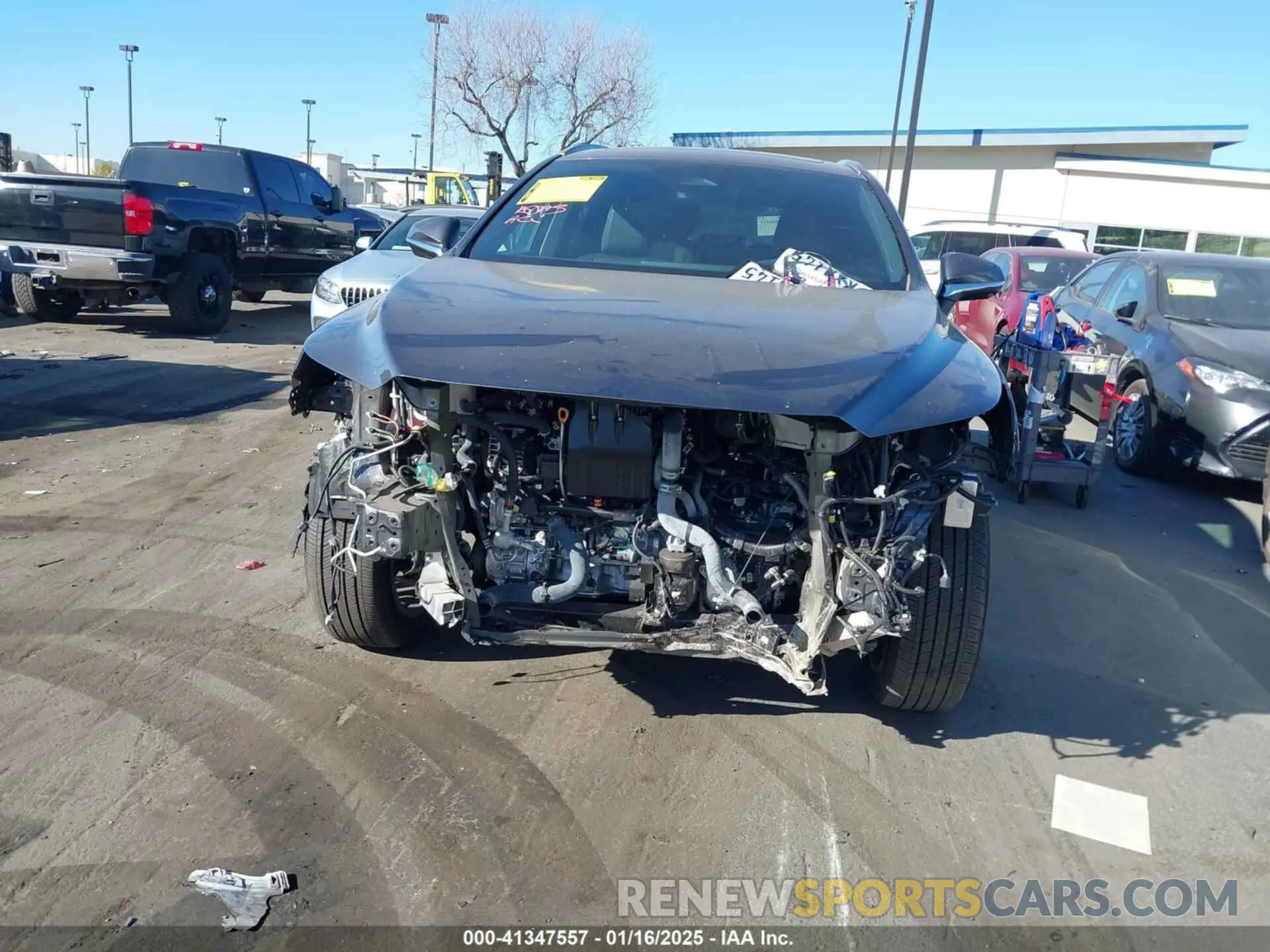 6 Photograph of a damaged car 2T2BAMBA3RC028022 LEXUS RX 350 2024