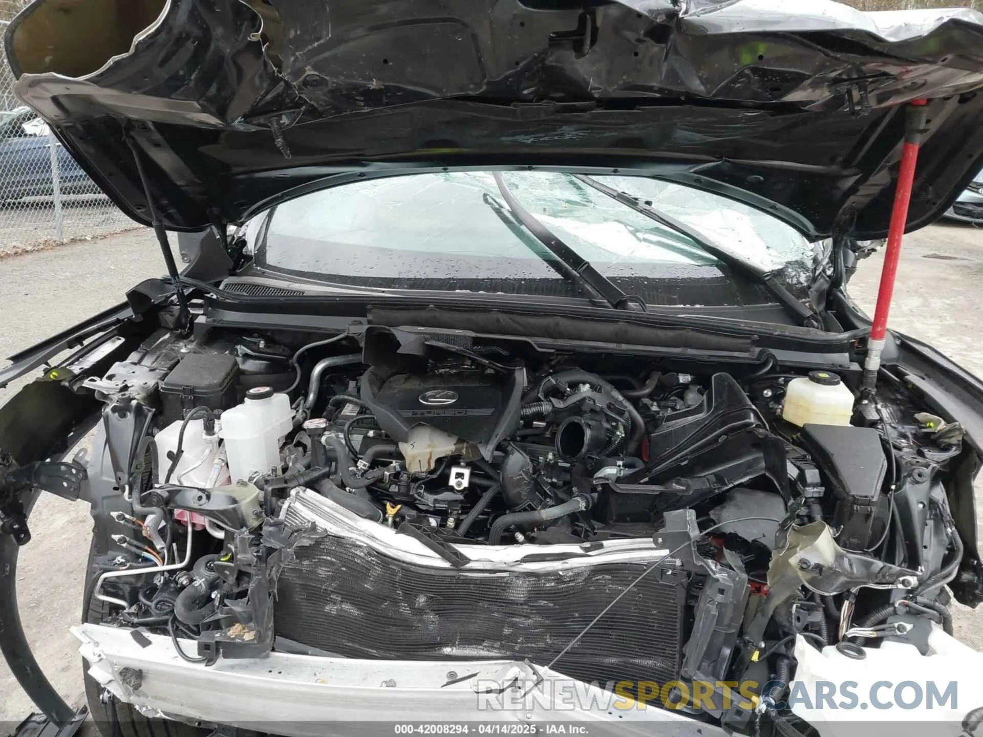 10 Photograph of a damaged car 2T2BAMCA0RC082117 LEXUS RX 350 2024