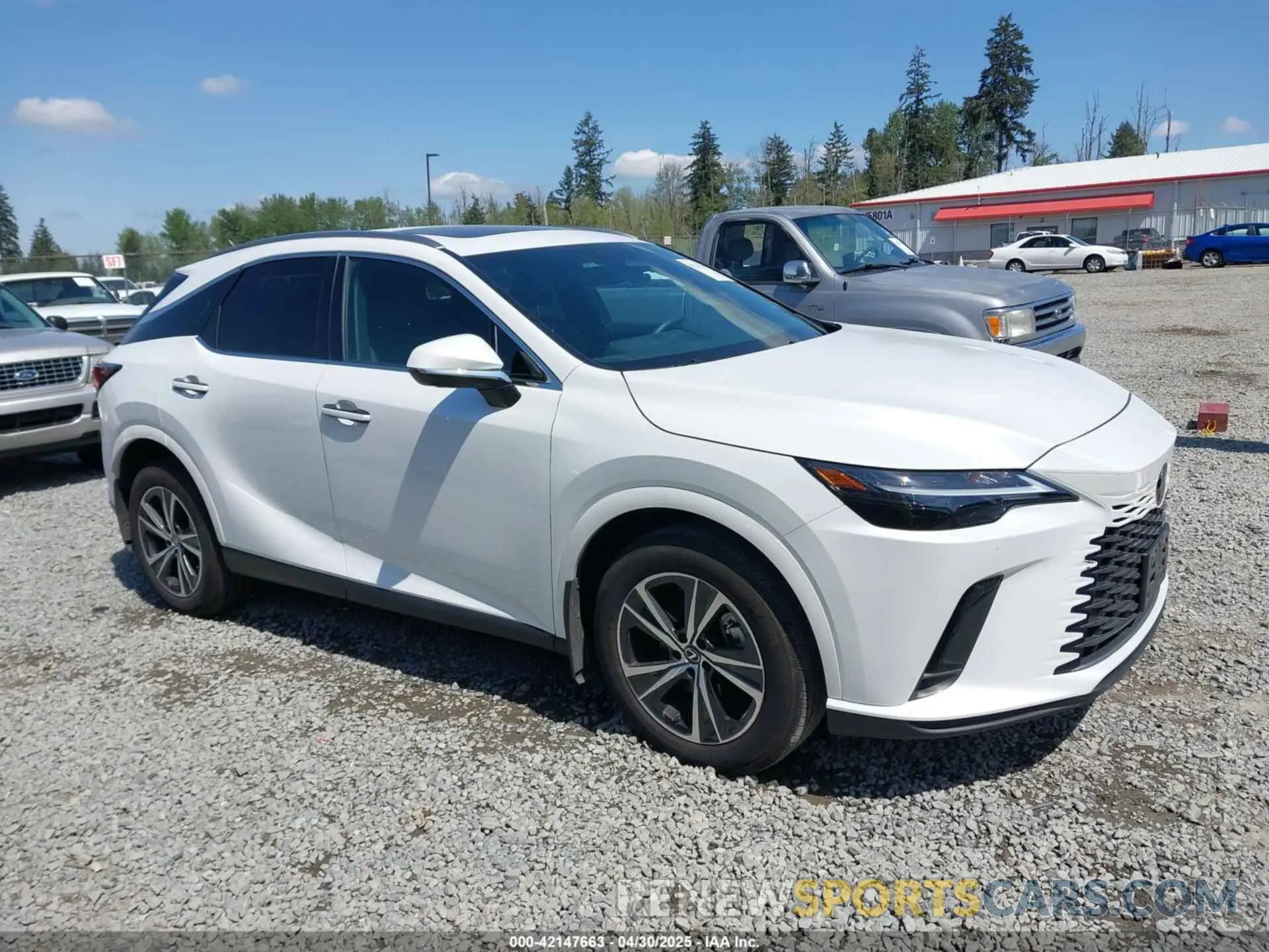 13 Photograph of a damaged car 2T2BAMCA1RC043570 LEXUS RX 350 2024