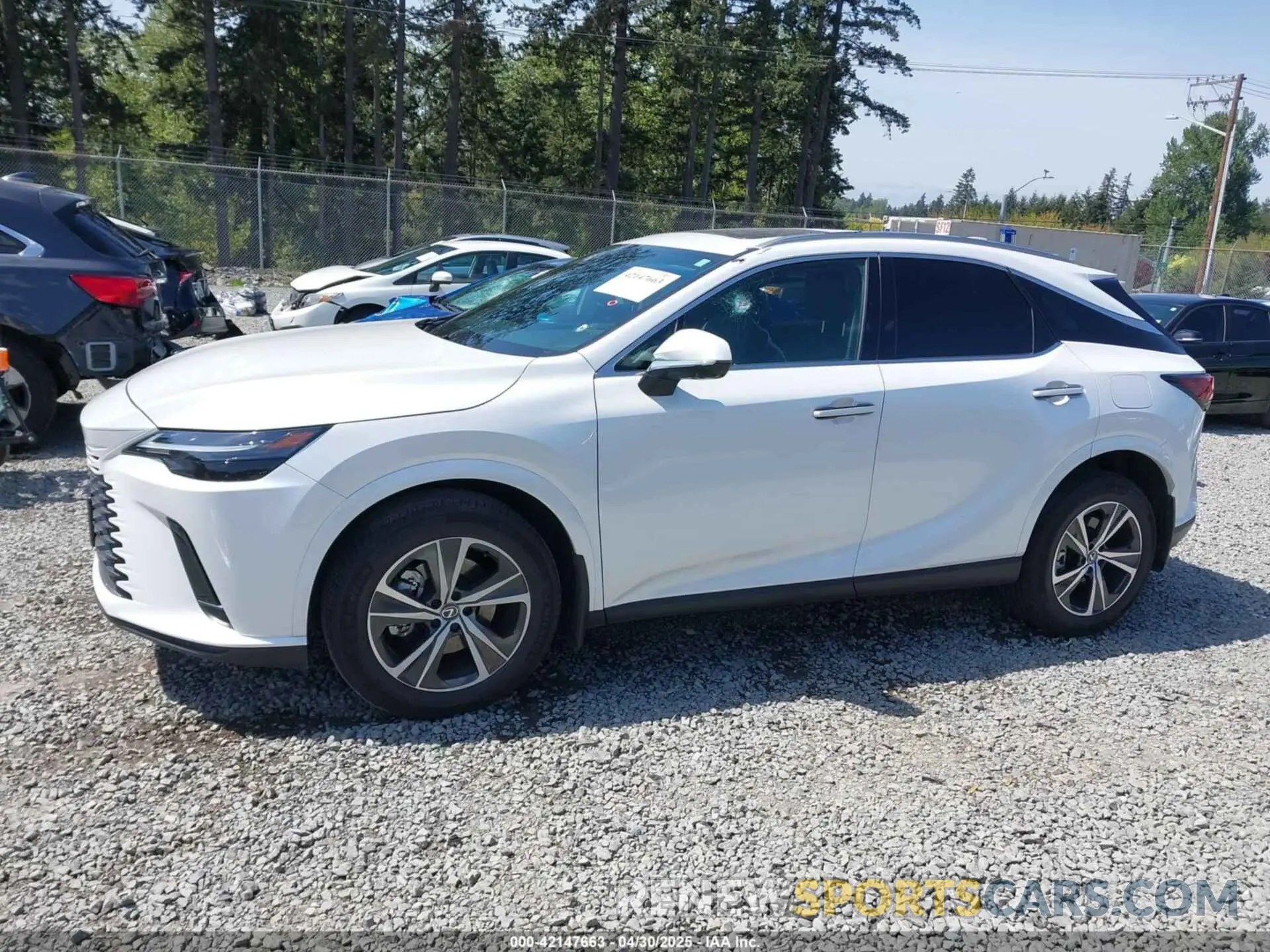 14 Photograph of a damaged car 2T2BAMCA1RC043570 LEXUS RX 350 2024