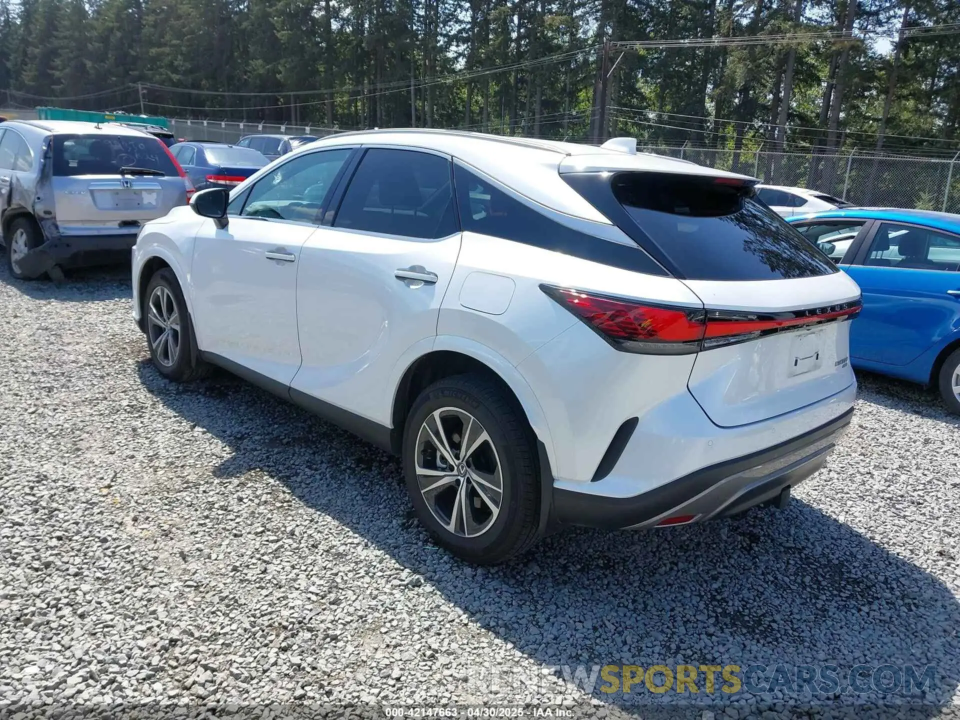 3 Photograph of a damaged car 2T2BAMCA1RC043570 LEXUS RX 350 2024