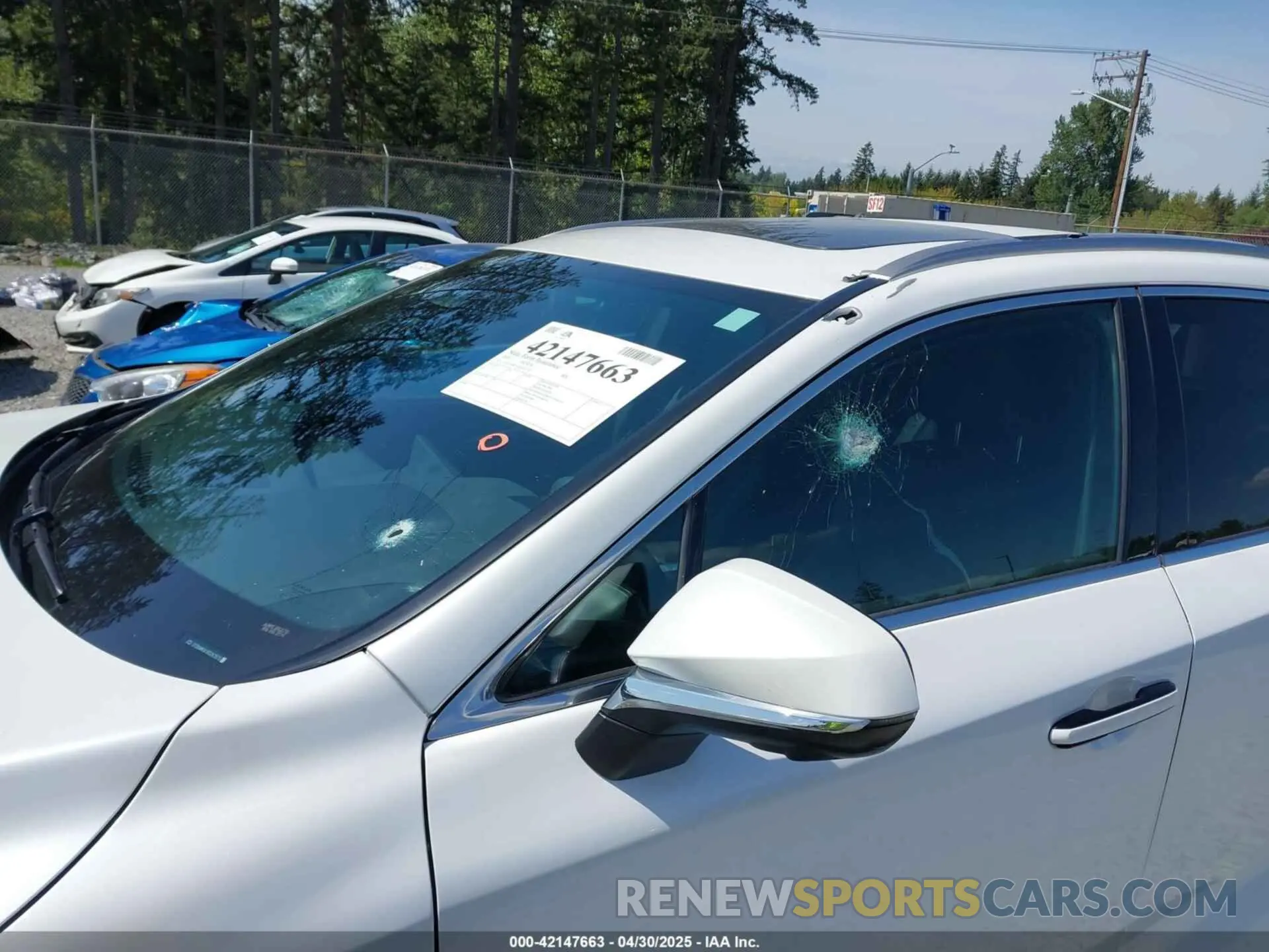 6 Photograph of a damaged car 2T2BAMCA1RC043570 LEXUS RX 350 2024