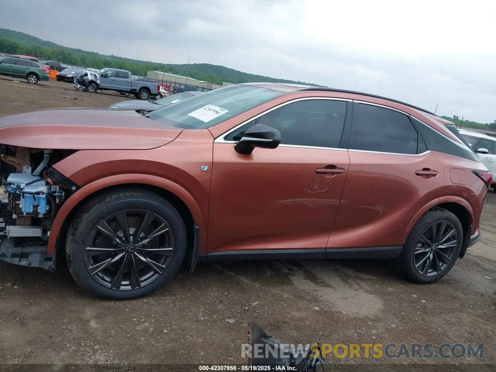 15 Photograph of a damaged car 2T2BAMCA7RC054055 LEXUS RX 350 2024