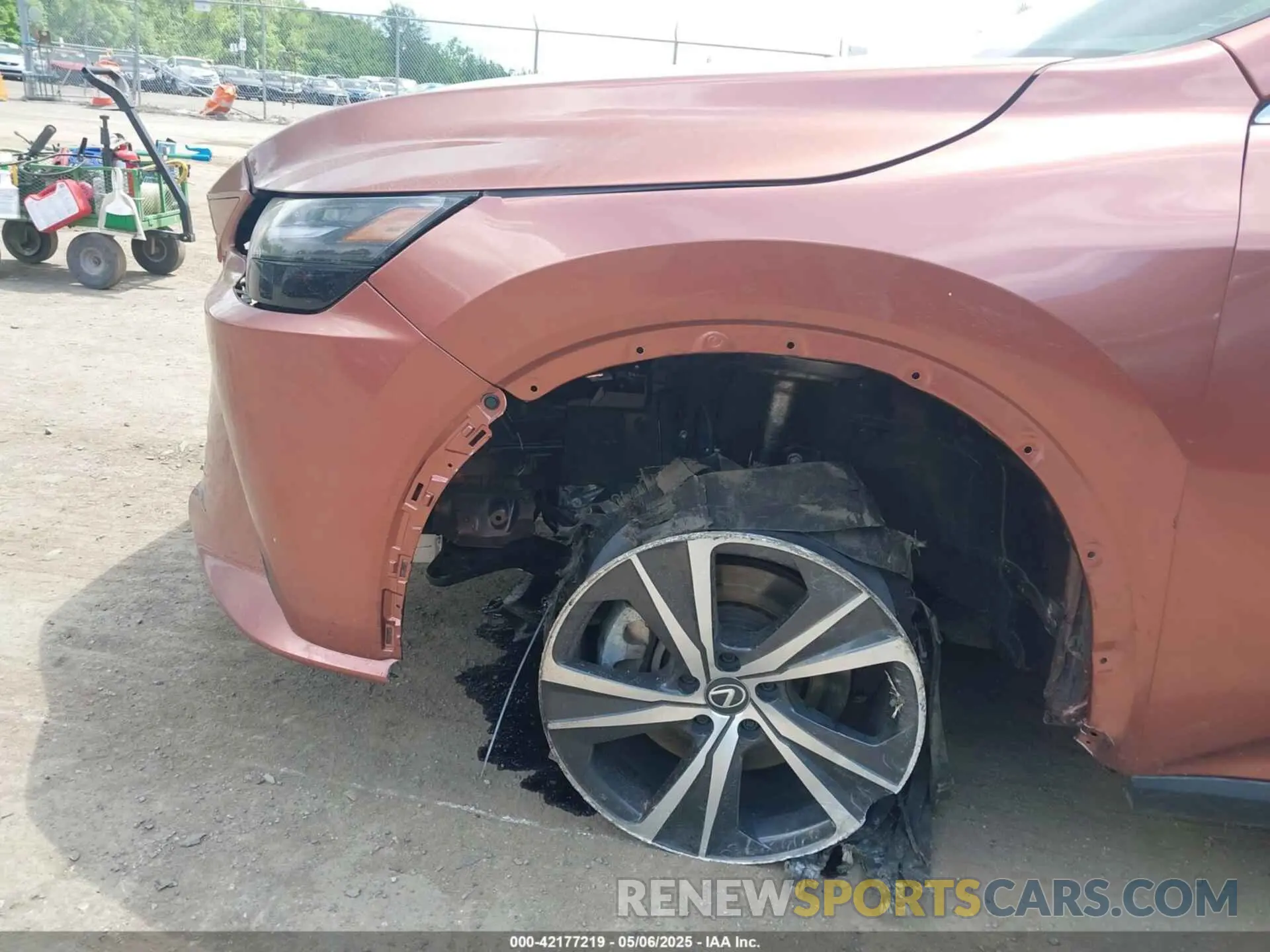6 Photograph of a damaged car 2T2BAMCA8RC052539 LEXUS RX 350 2024