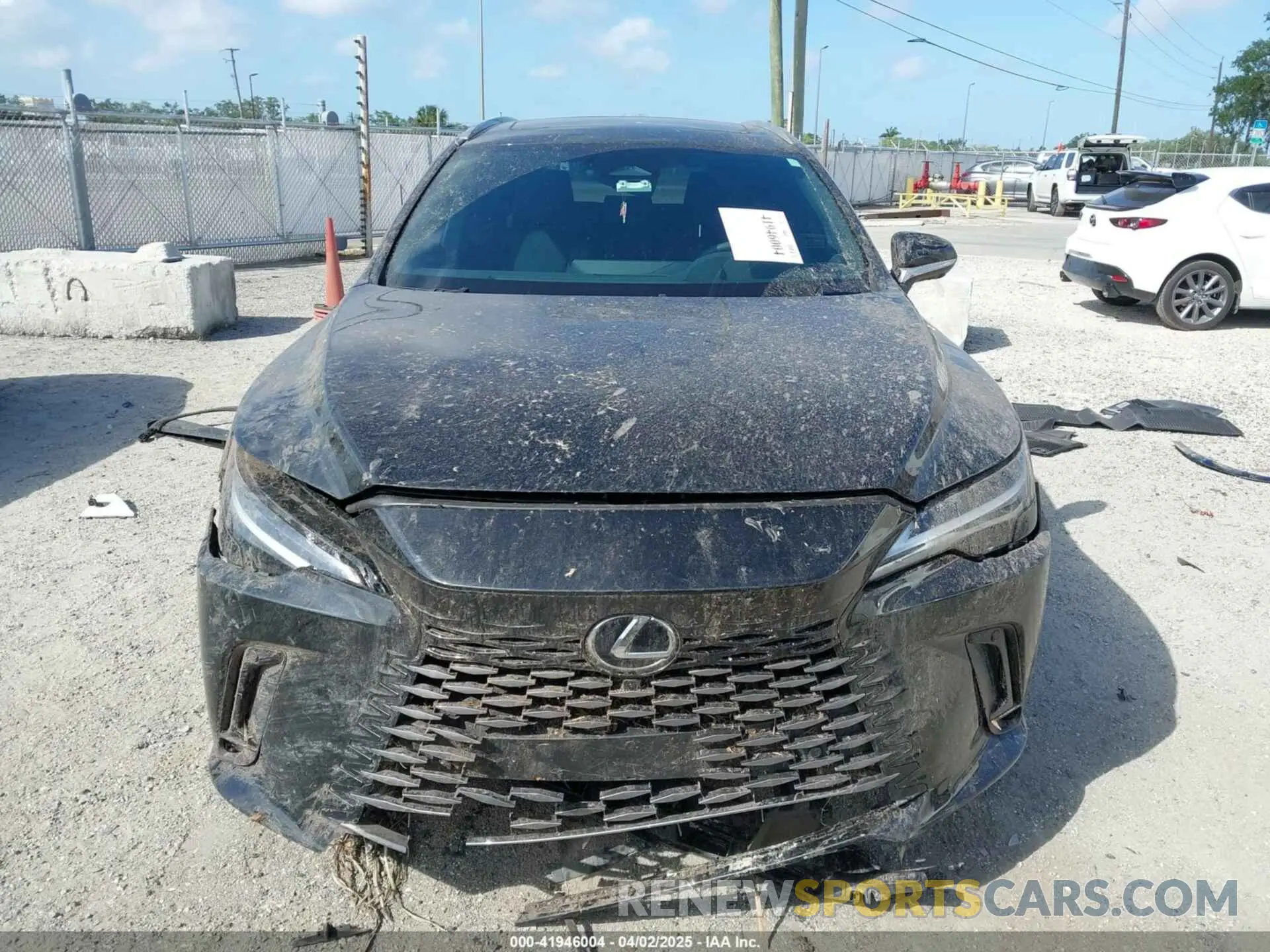 12 Photograph of a damaged car 2T2BAMCA9RC086862 LEXUS RX 350 2024