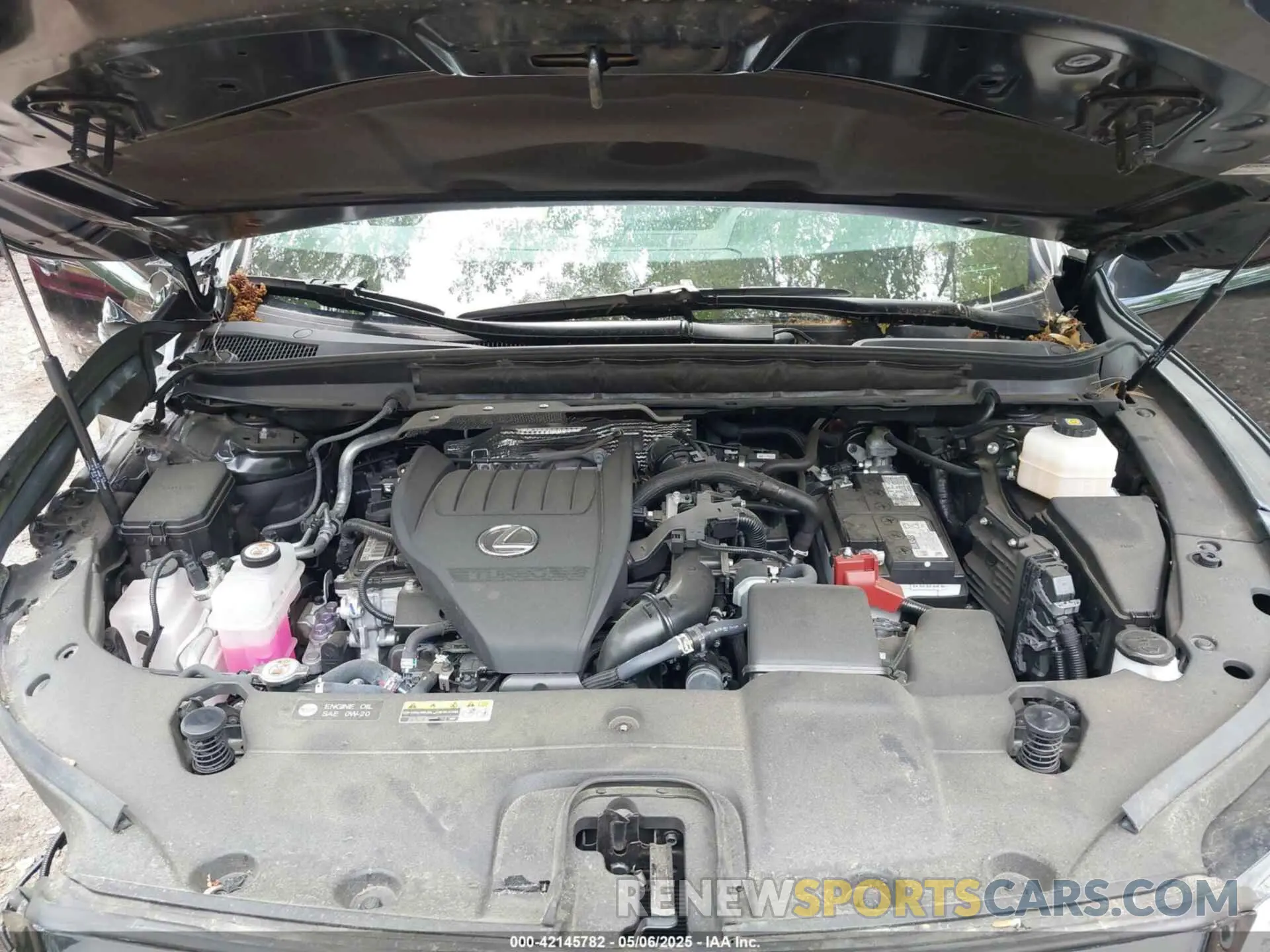 10 Photograph of a damaged car 2T2BAMCAXRC038674 LEXUS RX 350 2024