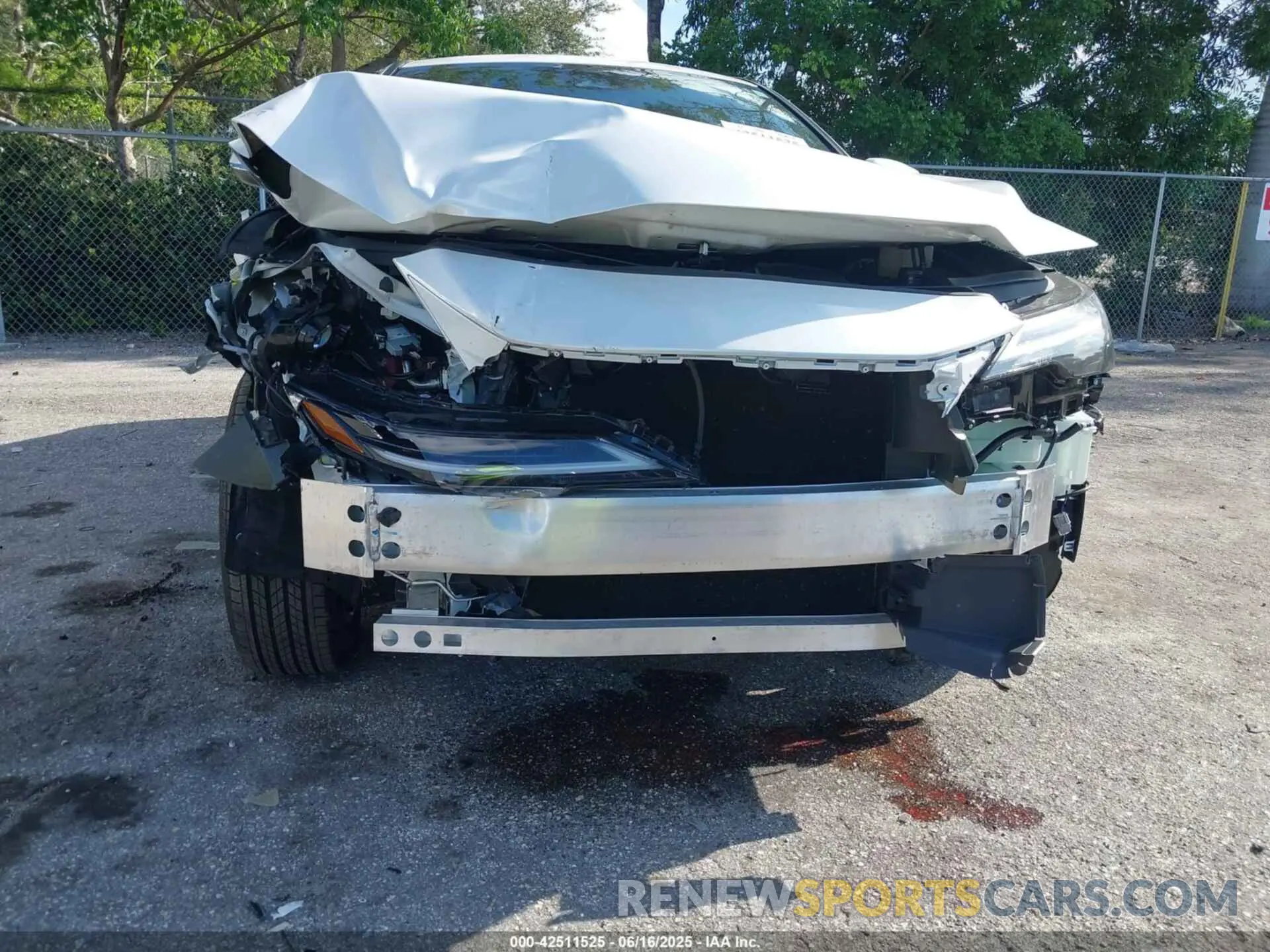 6 Photograph of a damaged car 2T2BAMBA6SC053549 LEXUS RX 350 2025