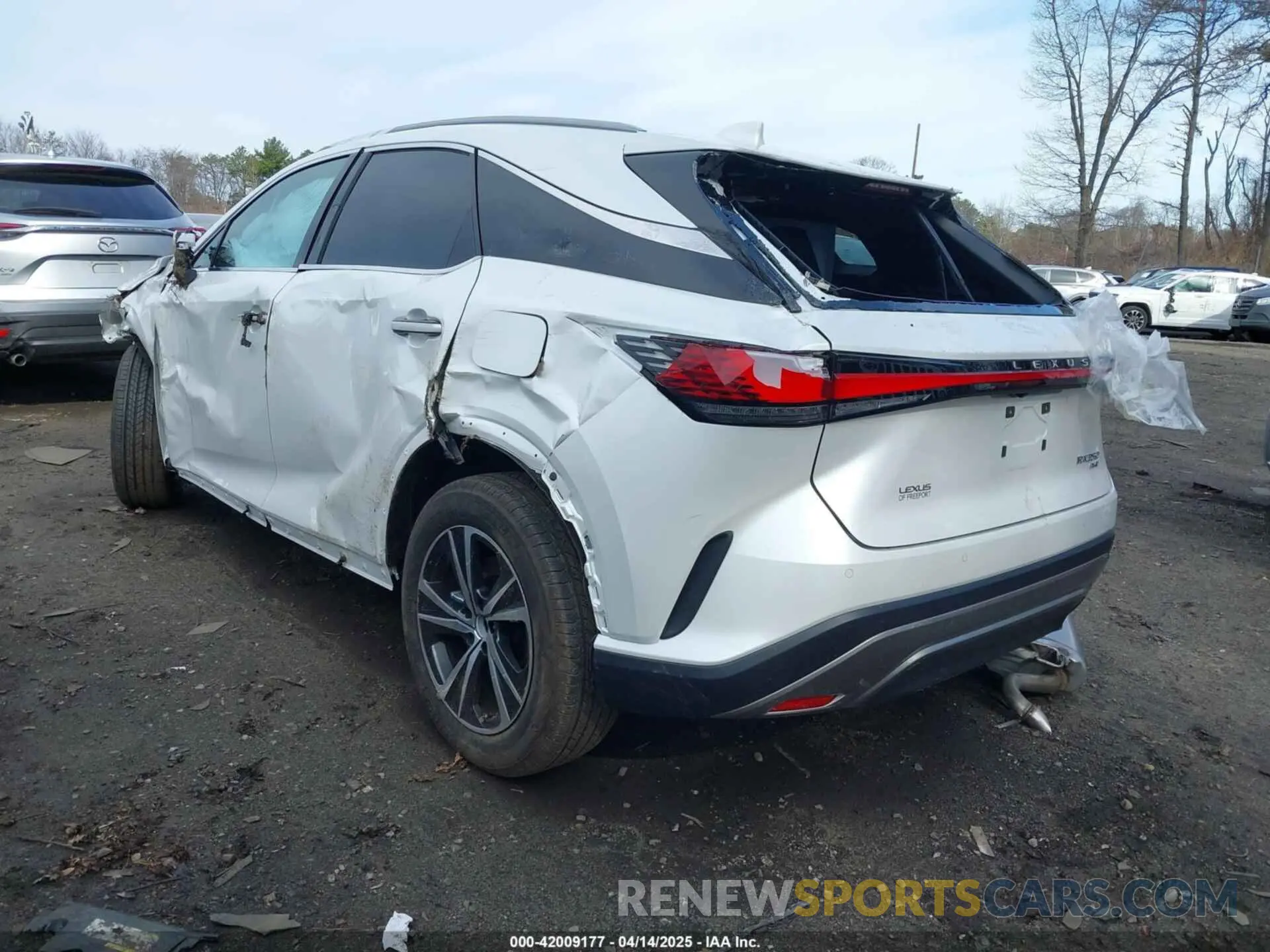 3 Photograph of a damaged car 2T2BAMCA7SC095145 LEXUS RX 350 2025