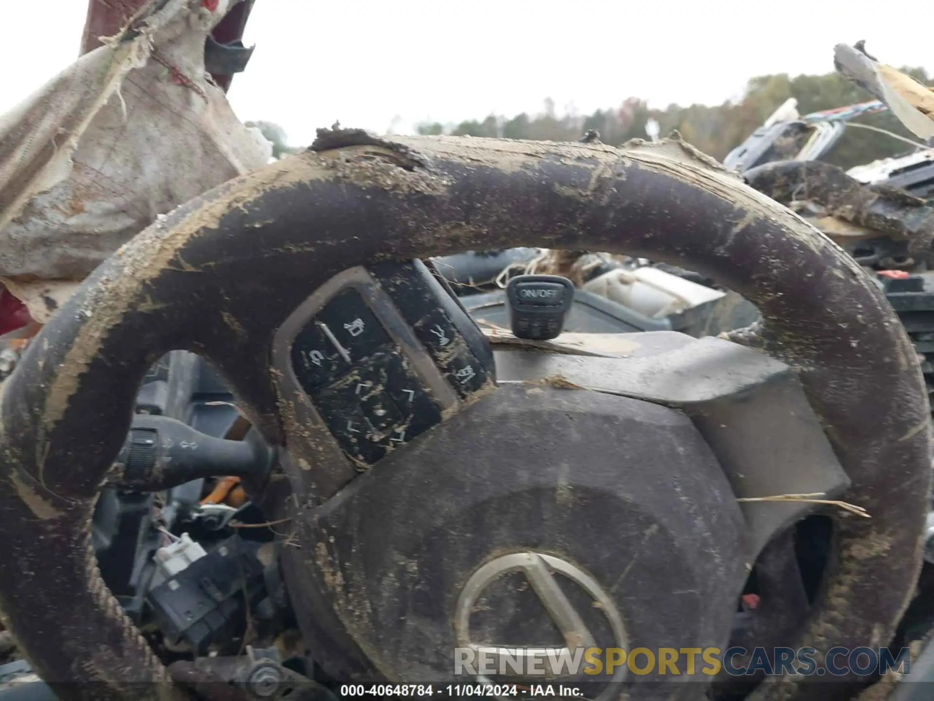 7 Photograph of a damaged car JTJDZKCA9K2016810 LEXUS RX 350L 2019