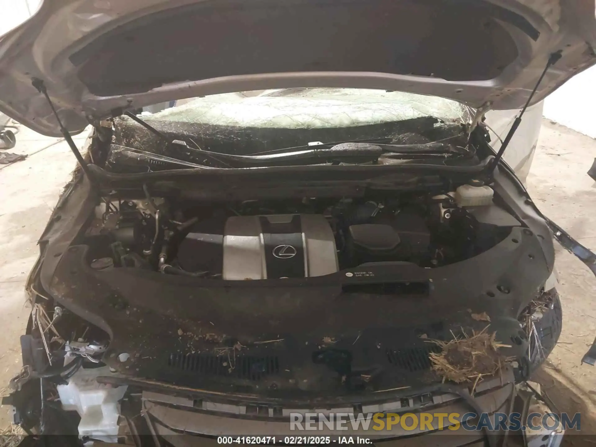 10 Photograph of a damaged car JTJDZKCA9K2019772 LEXUS RX 350L 2019