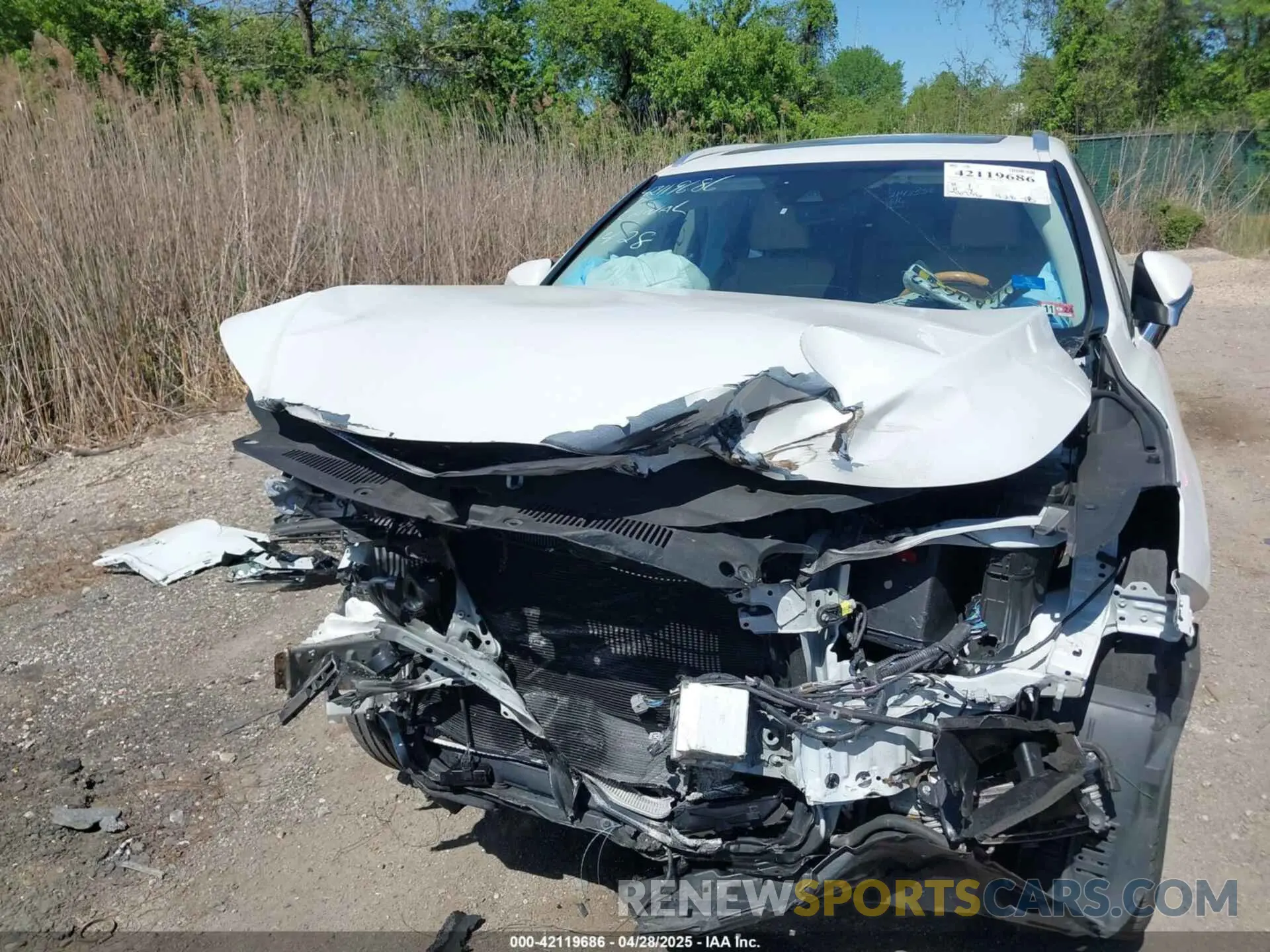 6 Photograph of a damaged car JTJGZKCA1K2012487 LEXUS RX 350L 2019
