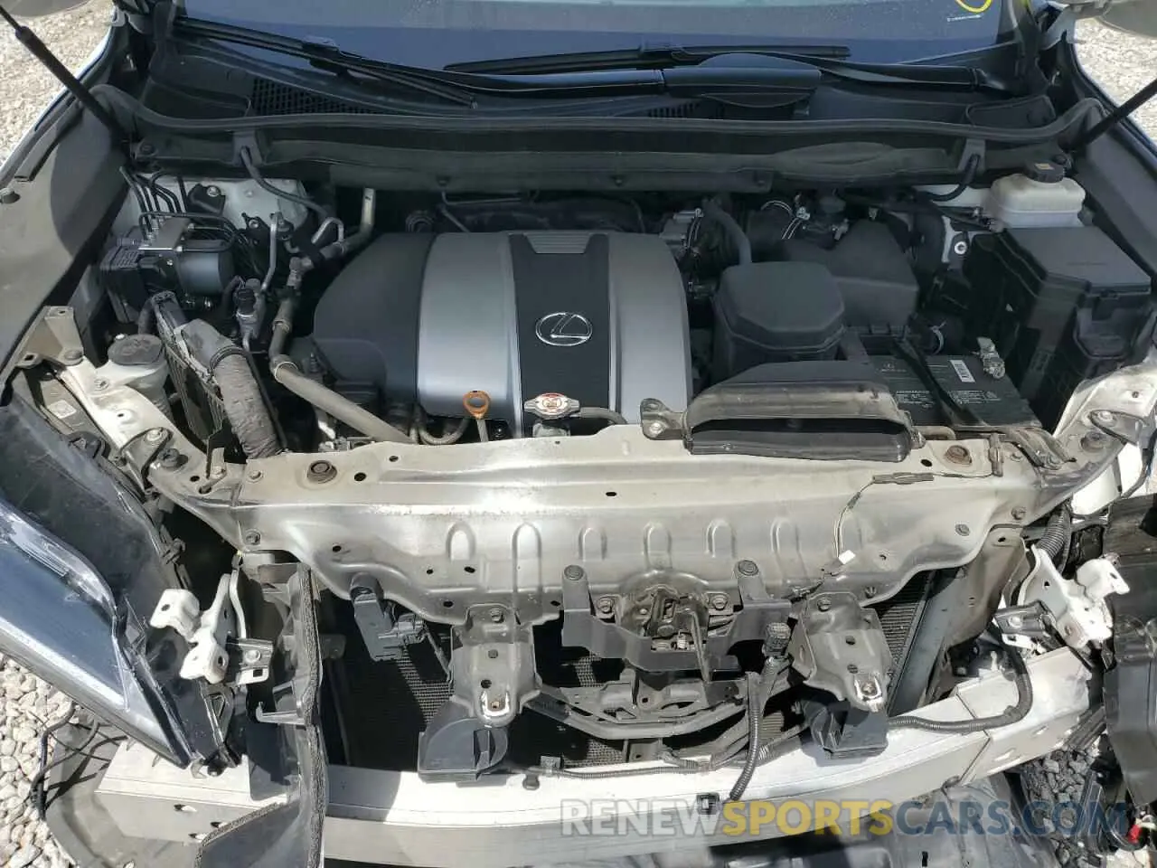 12 Photograph of a damaged car 2T2BZMCA0KC190459 LEXUS RX350 2019