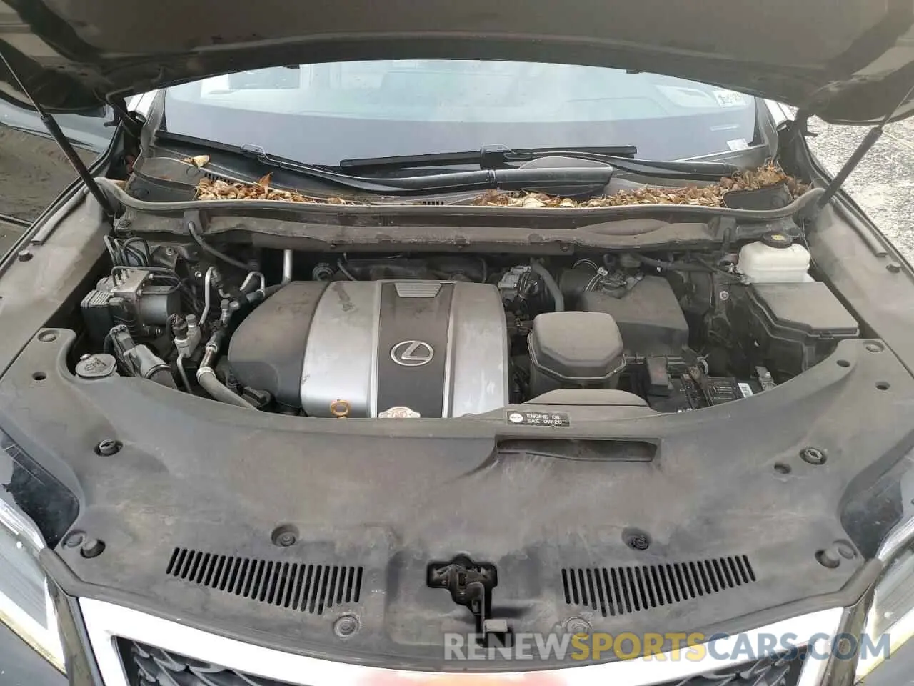 12 Photograph of a damaged car 2T2BZMCA2KC169984 LEXUS RX350 2019