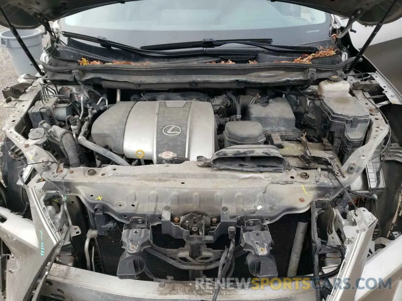 12 Photograph of a damaged car 2T2BZMCA5KC174015 LEXUS RX350 2019