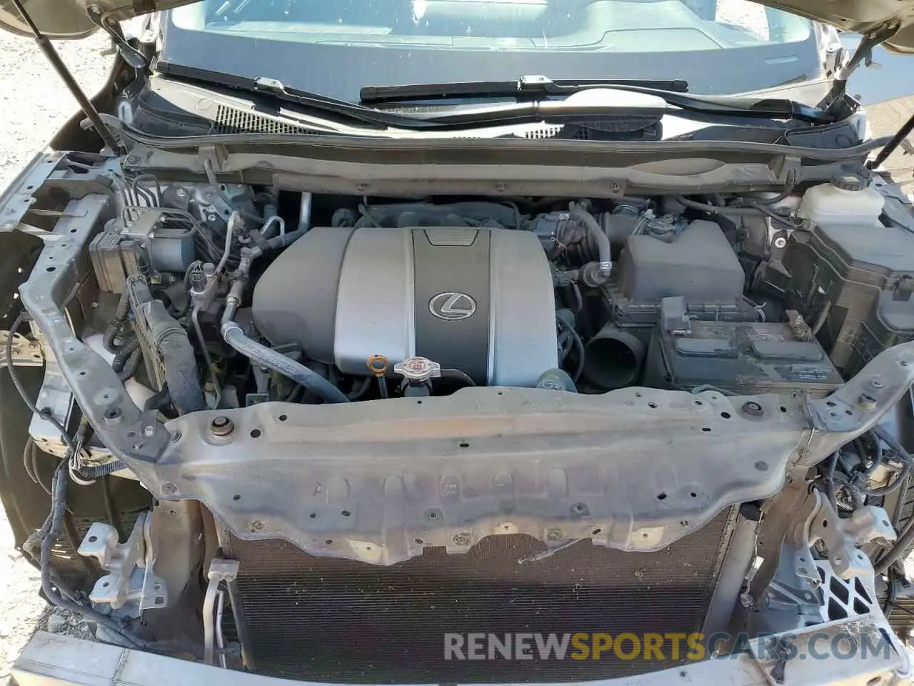 12 Photograph of a damaged car 2T2BZMCA5KC191929 LEXUS RX350 2019