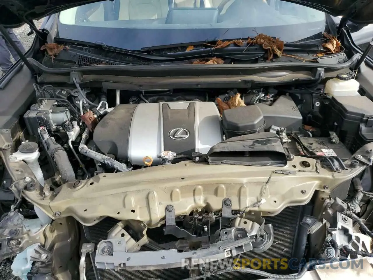 12 Photograph of a damaged car 2T2ZZMCAXKC124810 LEXUS RX350 2019