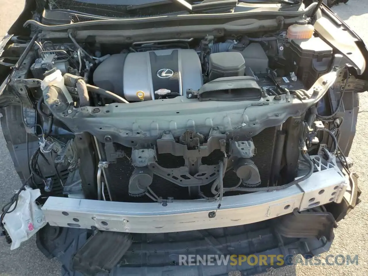 12 Photograph of a damaged car JTJDZKCA6K2018921 LEXUS RX350 2019