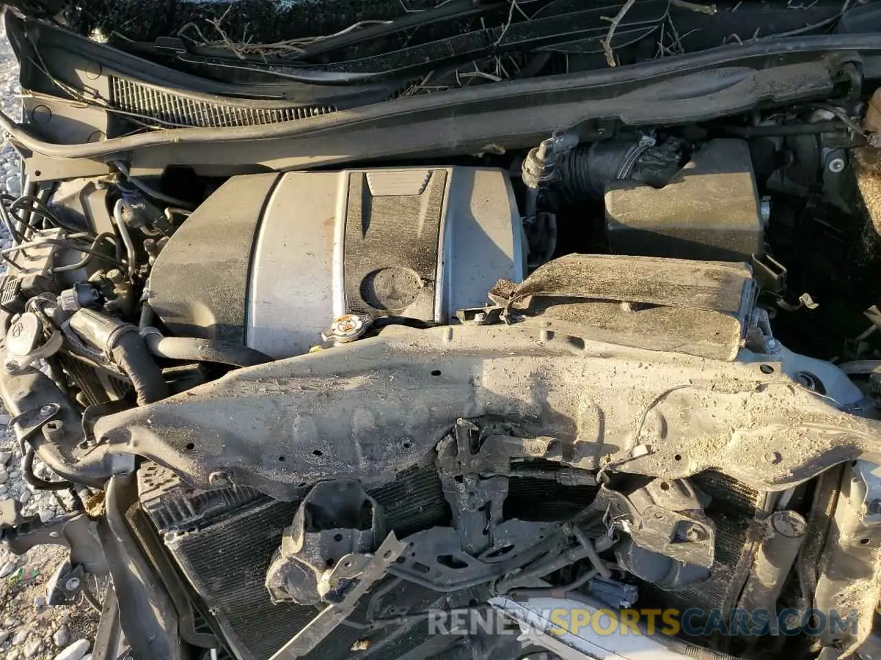 13 Photograph of a damaged car JTJDZKCA9K2019402 LEXUS RX350 2019