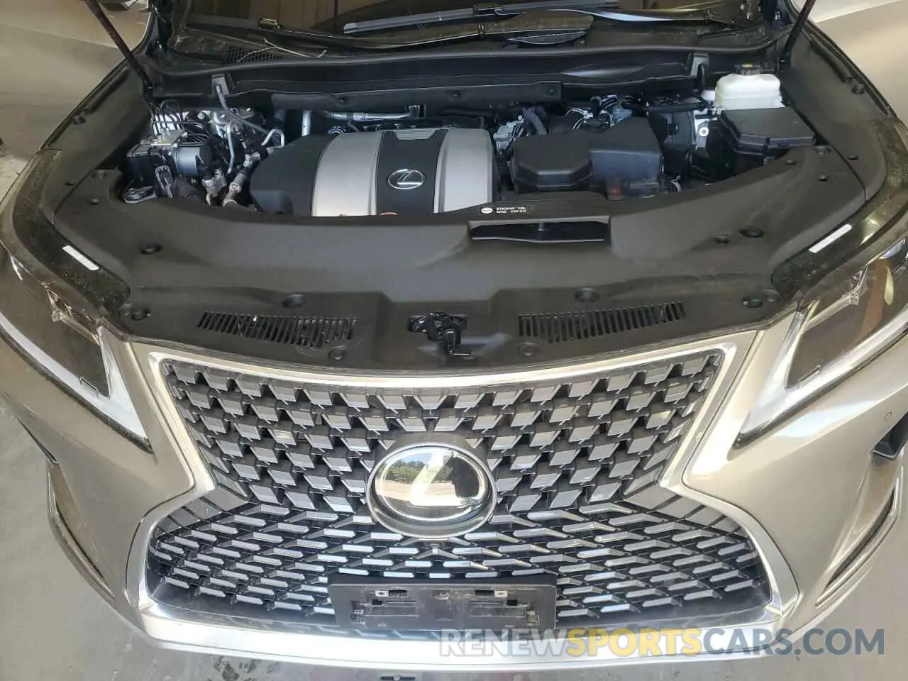 12 Photograph of a damaged car 2T2HZMDA7NC328902 LEXUS RX350 2022