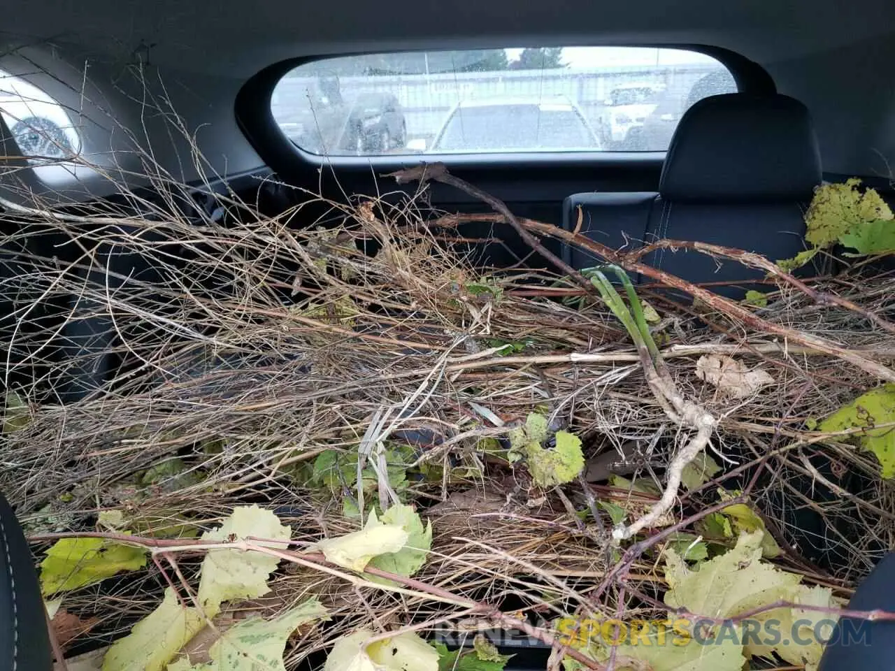 10 Photograph of a damaged car 2T2HZMDA9NC358001 LEXUS RX350 2022