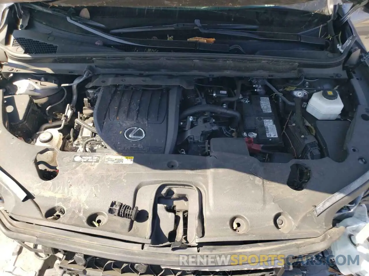 12 Photograph of a damaged car 2T2BAMBA7PC014606 LEXUS RX350 2023