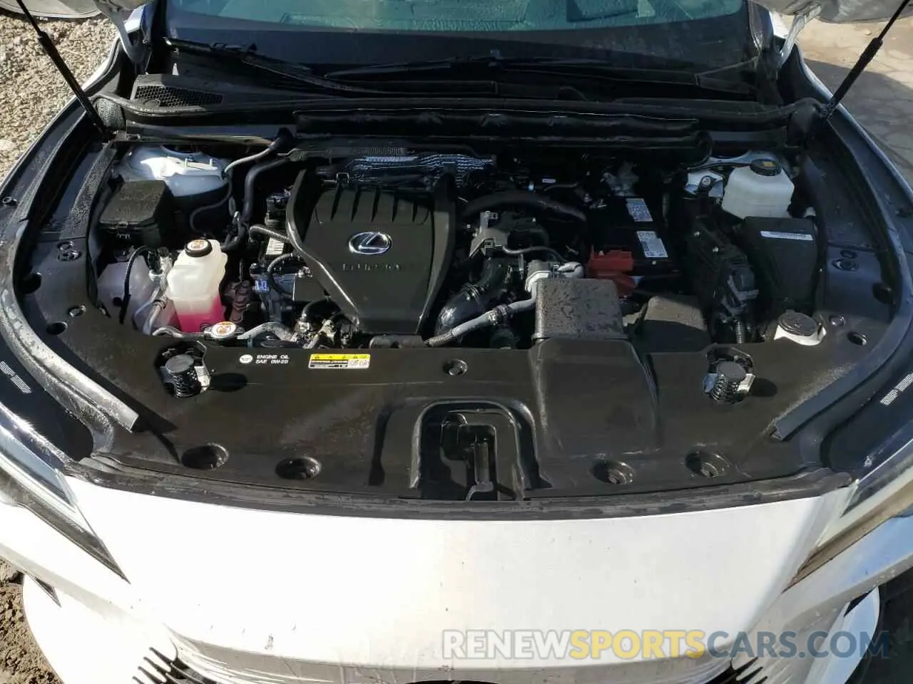 12 Photograph of a damaged car 2T2BAMCA3PC022040 LEXUS RX350 2023