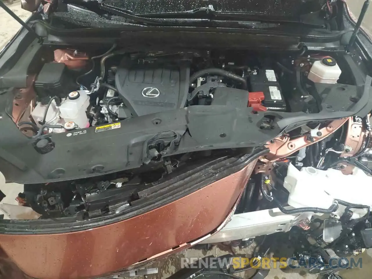 12 Photograph of a damaged car 2T2BAMCA4PC019812 LEXUS RX350 2023