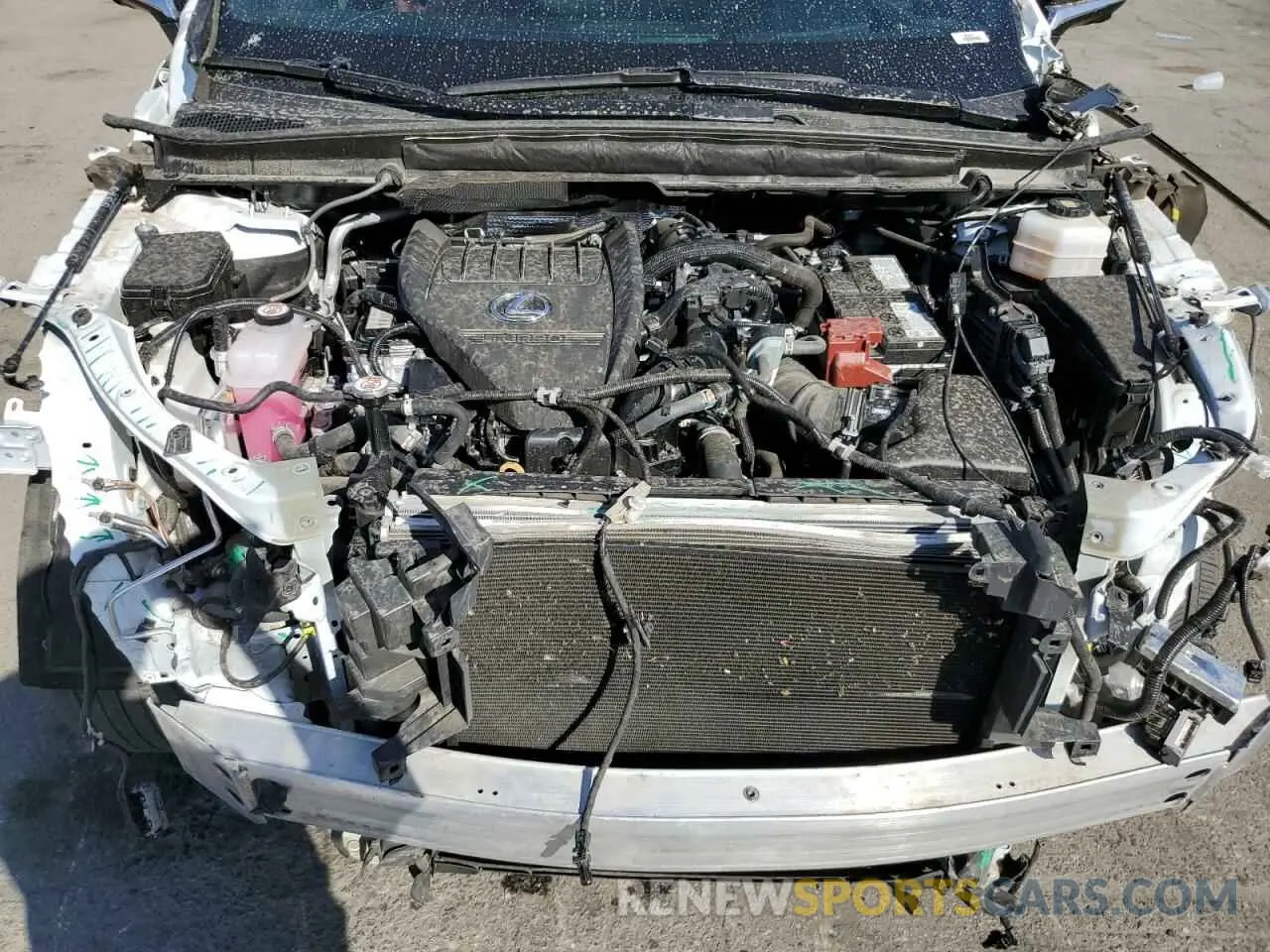 11 Photograph of a damaged car 2T2BAMCA6PC027264 LEXUS RX350 2023
