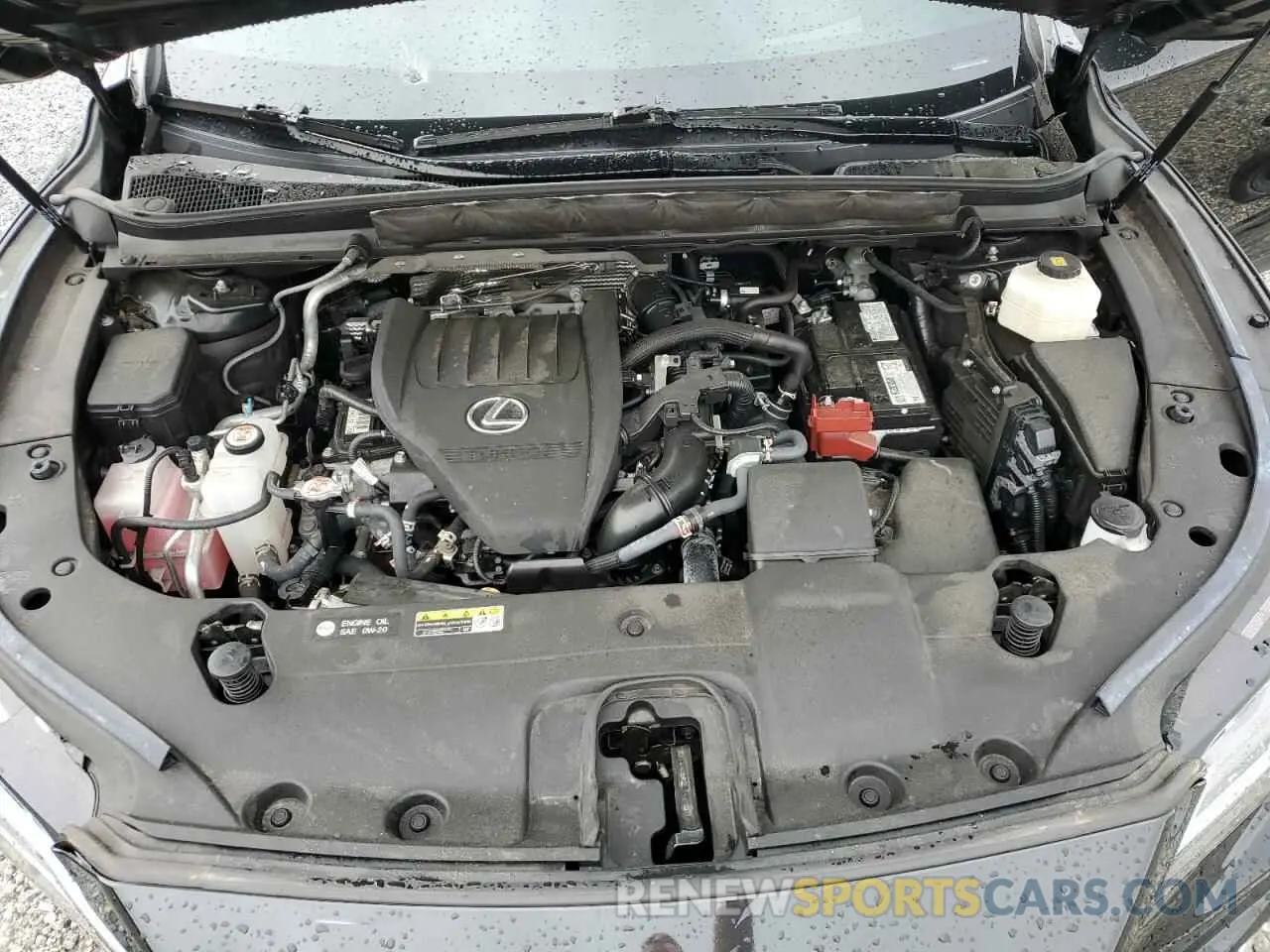 12 Photograph of a damaged car 2T2BAMCA7PC004804 LEXUS RX350 2023