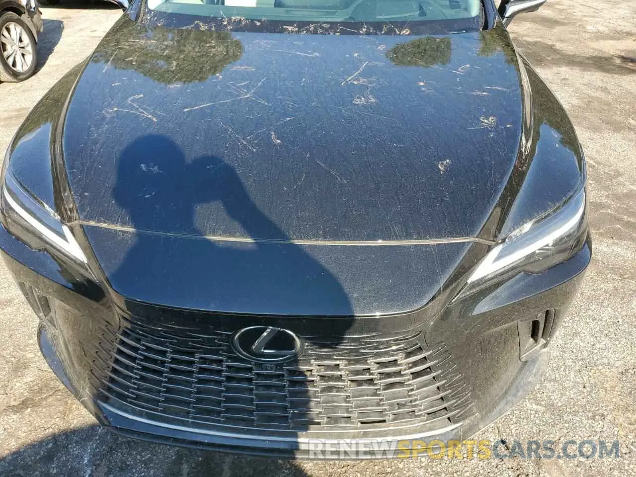 12 Photograph of a damaged car 2T2BAMBA4RC024352 LEXUS RX350 2024