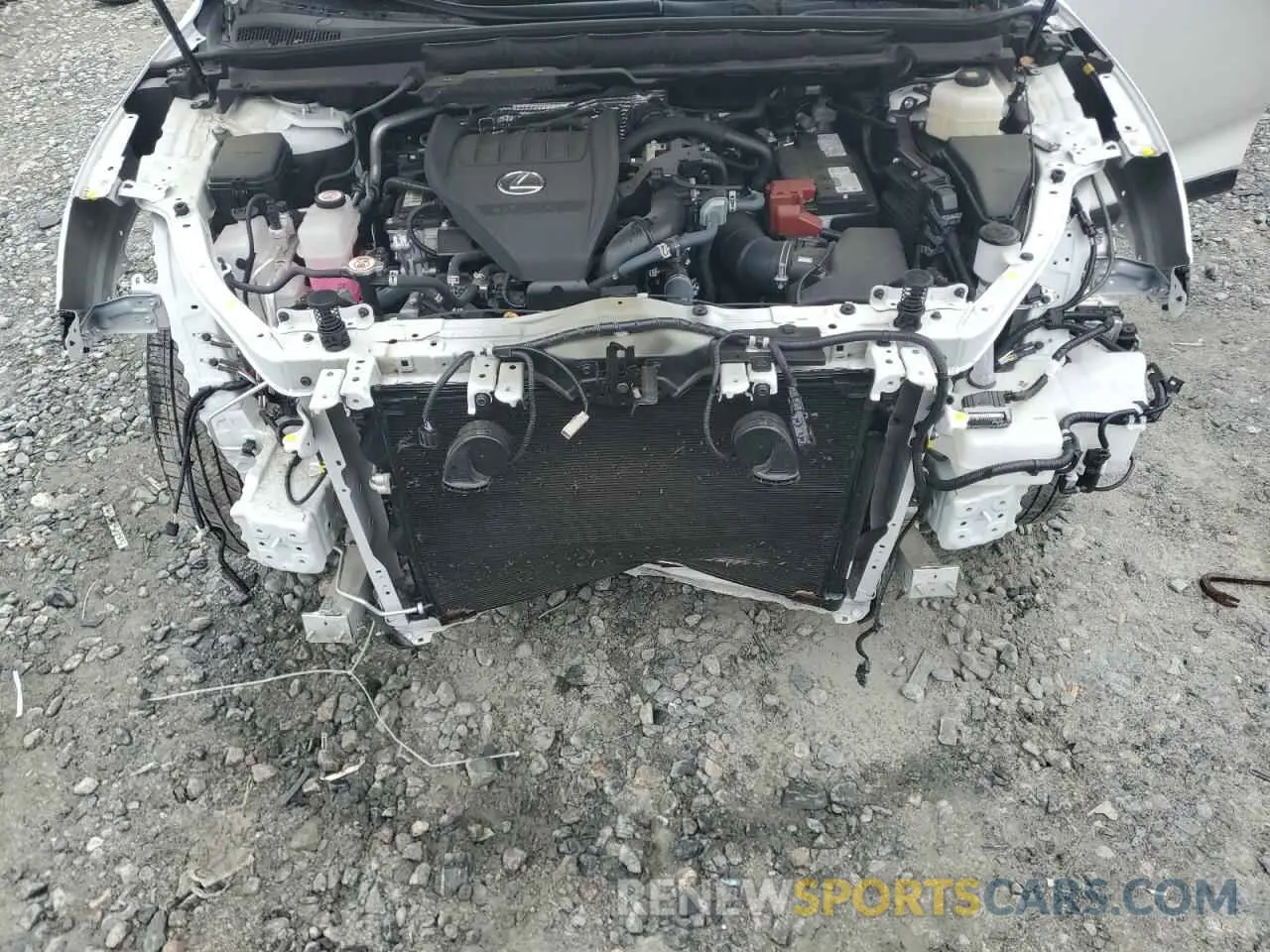 12 Photograph of a damaged car 2T2BAMBA7RC035152 LEXUS RX350 2024