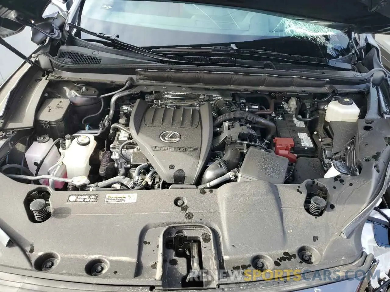 12 Photograph of a damaged car 2T2BAMCA0RC060702 LEXUS RX350 2024