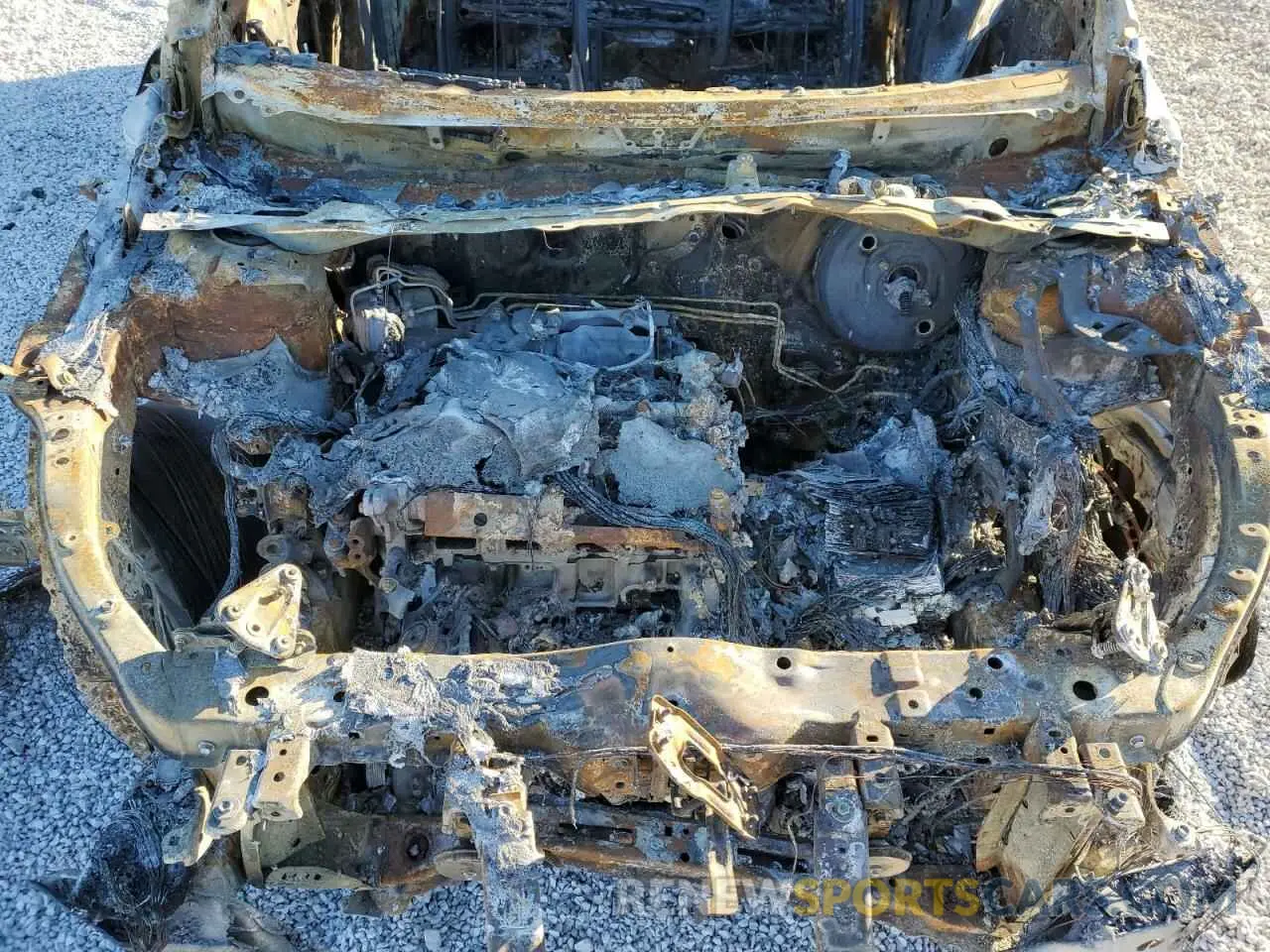 11 Photograph of a damaged car 2T2BAMCA7RC069736 LEXUS RX350 2024