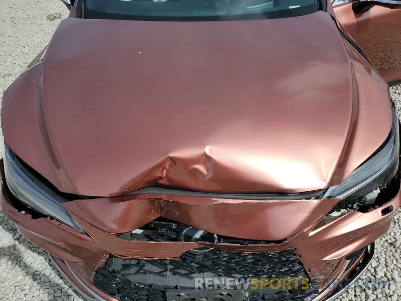 13 Photograph of a damaged car 2T2BAMCAXRC047052 LEXUS RX350 2024