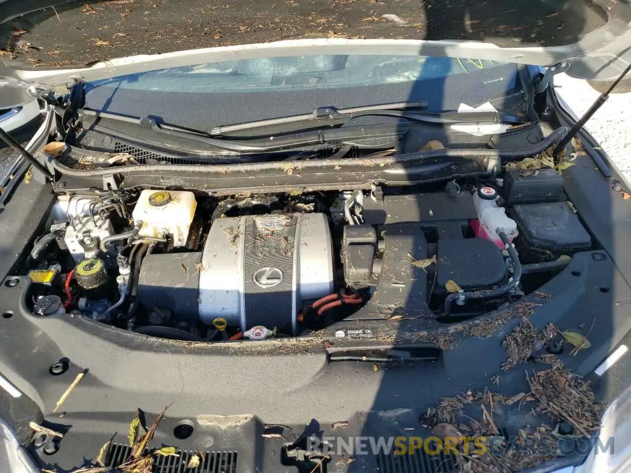 7 Photograph of a damaged car 2T2BGMCA3KC033787 LEXUS RX450 2019