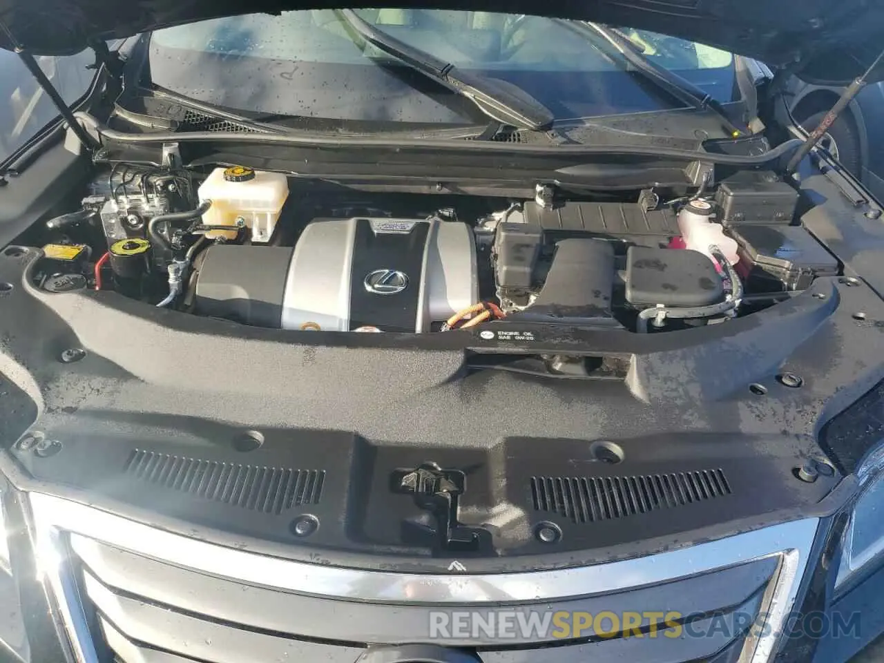 12 Photograph of a damaged car 2T2BGMCA4KC041381 LEXUS RX450 2019