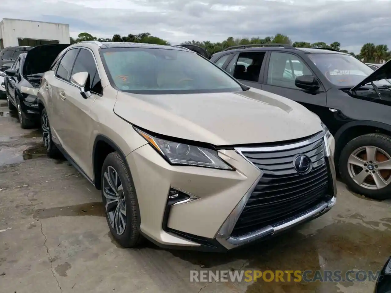 1 Photograph of a damaged car 2T2BGMCA4KC041901 LEXUS RX450 2019